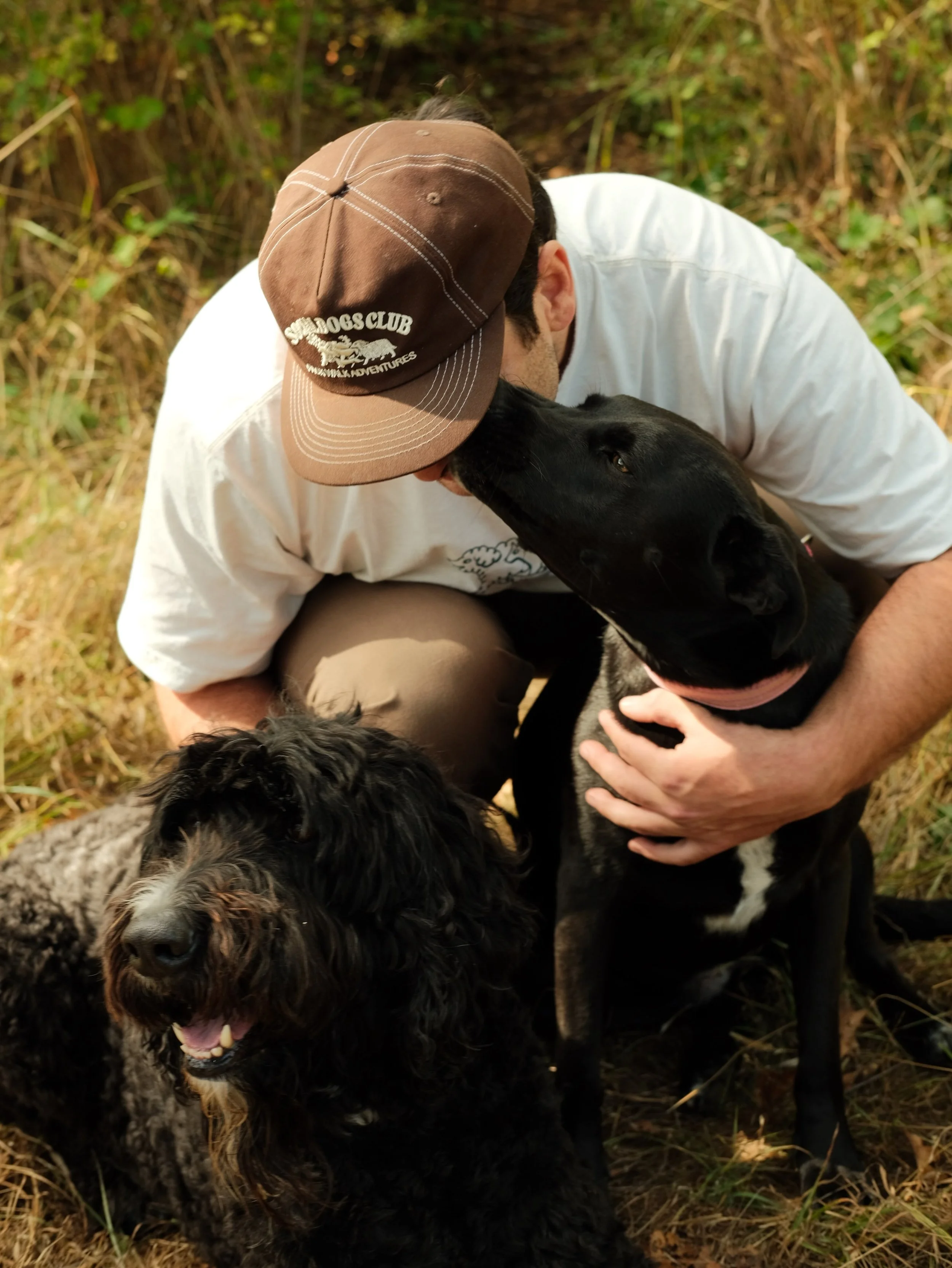 Frankie was the inspiration for starting Social Dogs Club.

She came to us from a rescue based out of Texas when she was just a wee little thing. She arrived scared and too skinny. But she didn&rsquo;t stay that way long. We wanted our girl to have t