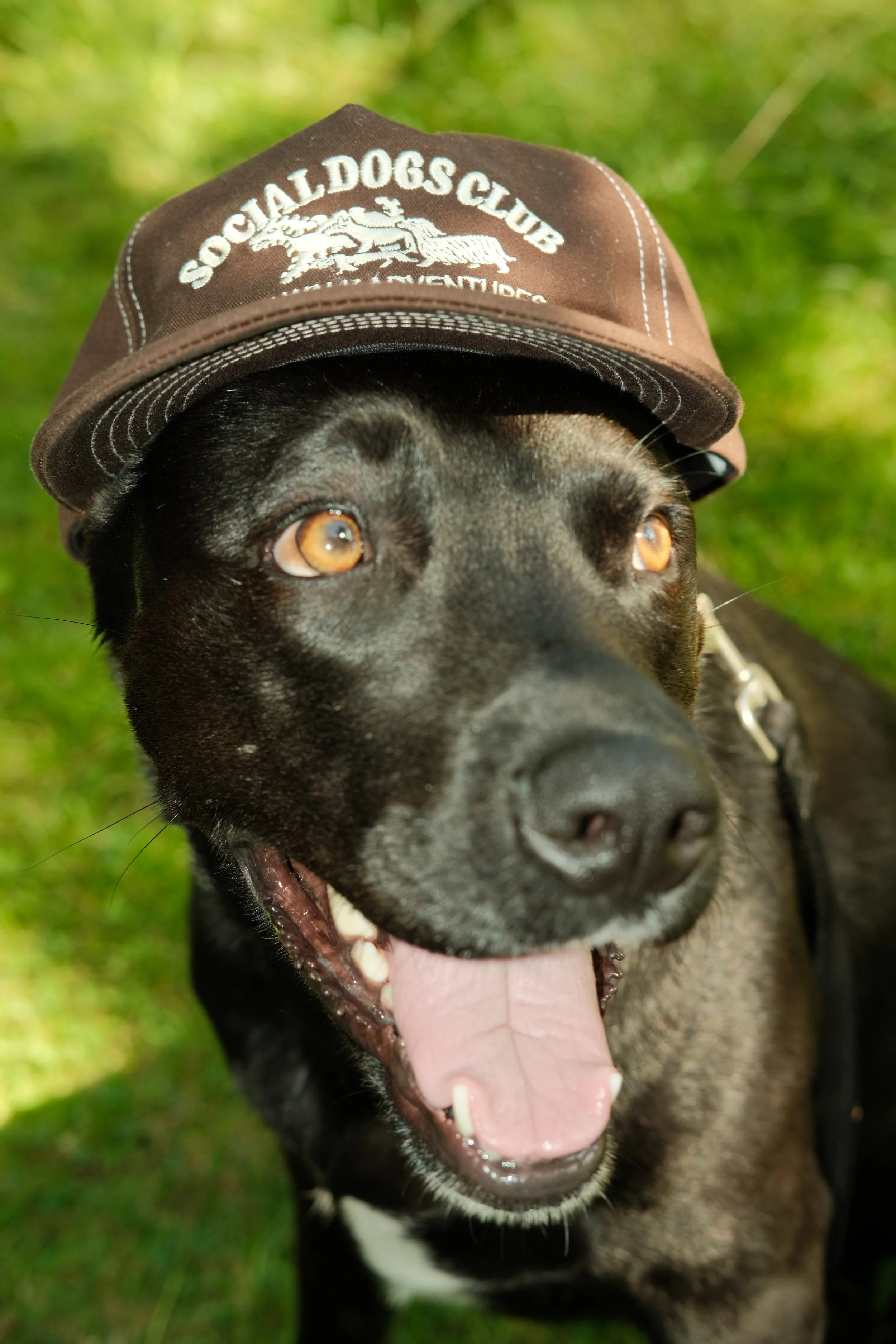 DSCF6770.JPG