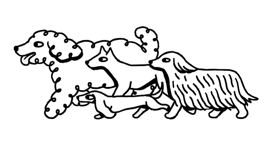 Line drawing of a pack of dogs going for an off-leash pack walk adventure.
