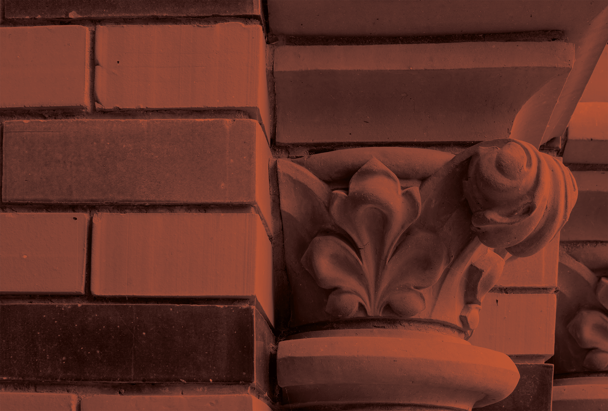 Realty background image.png