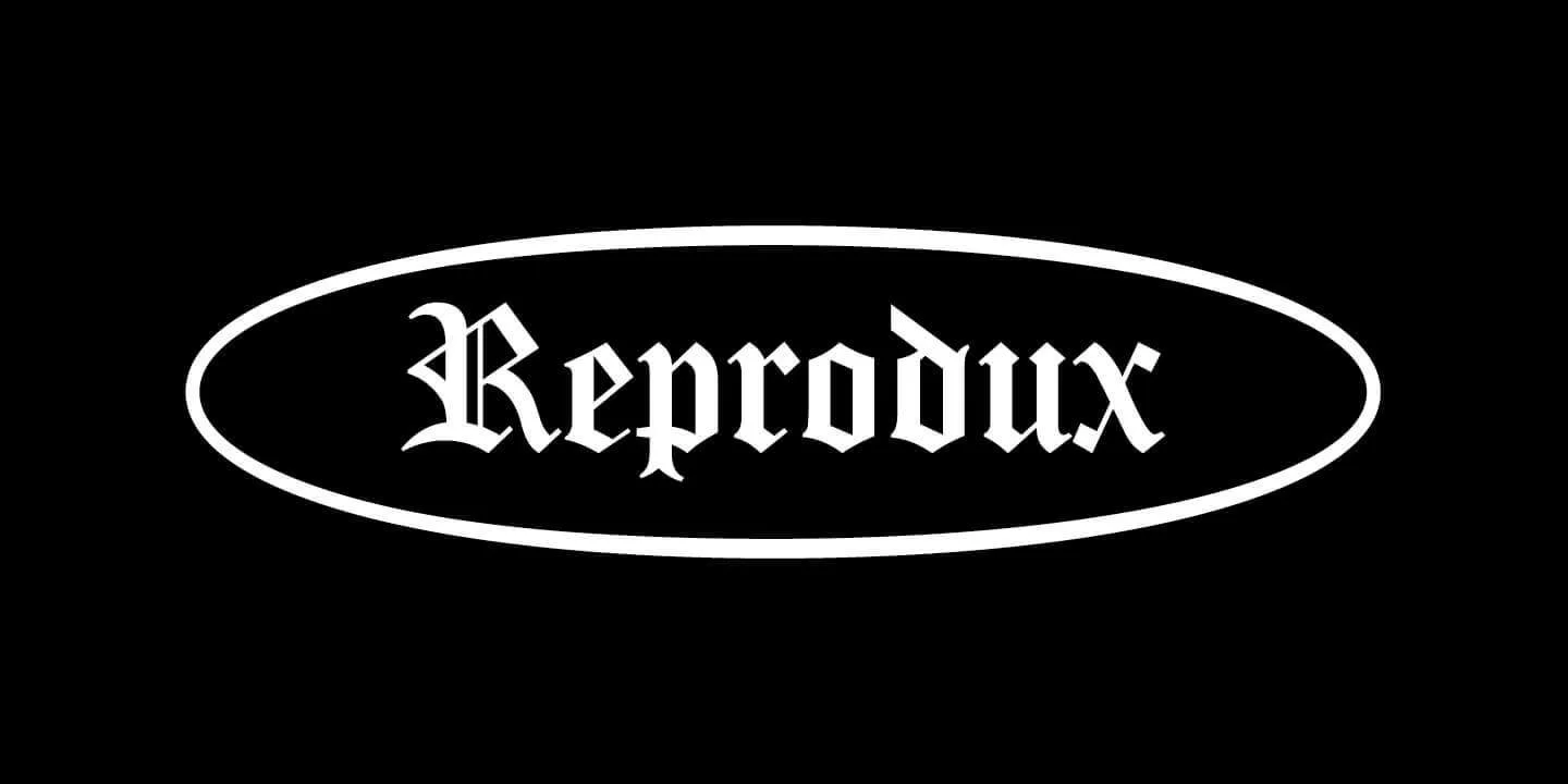 REPRODUX INC - showroom design throughout USA; photography; brochures