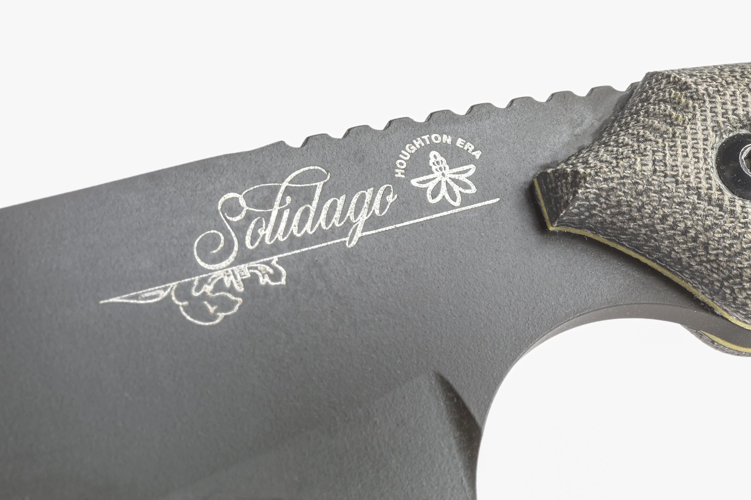 0182_HOUGHTON ERA_SOLIDAGO_02.jpg