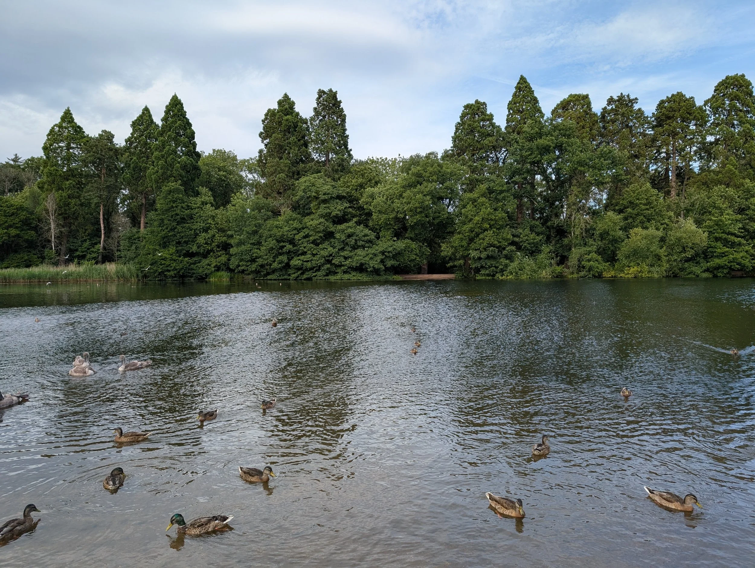 A pond a Tredgar House Newport South Wales