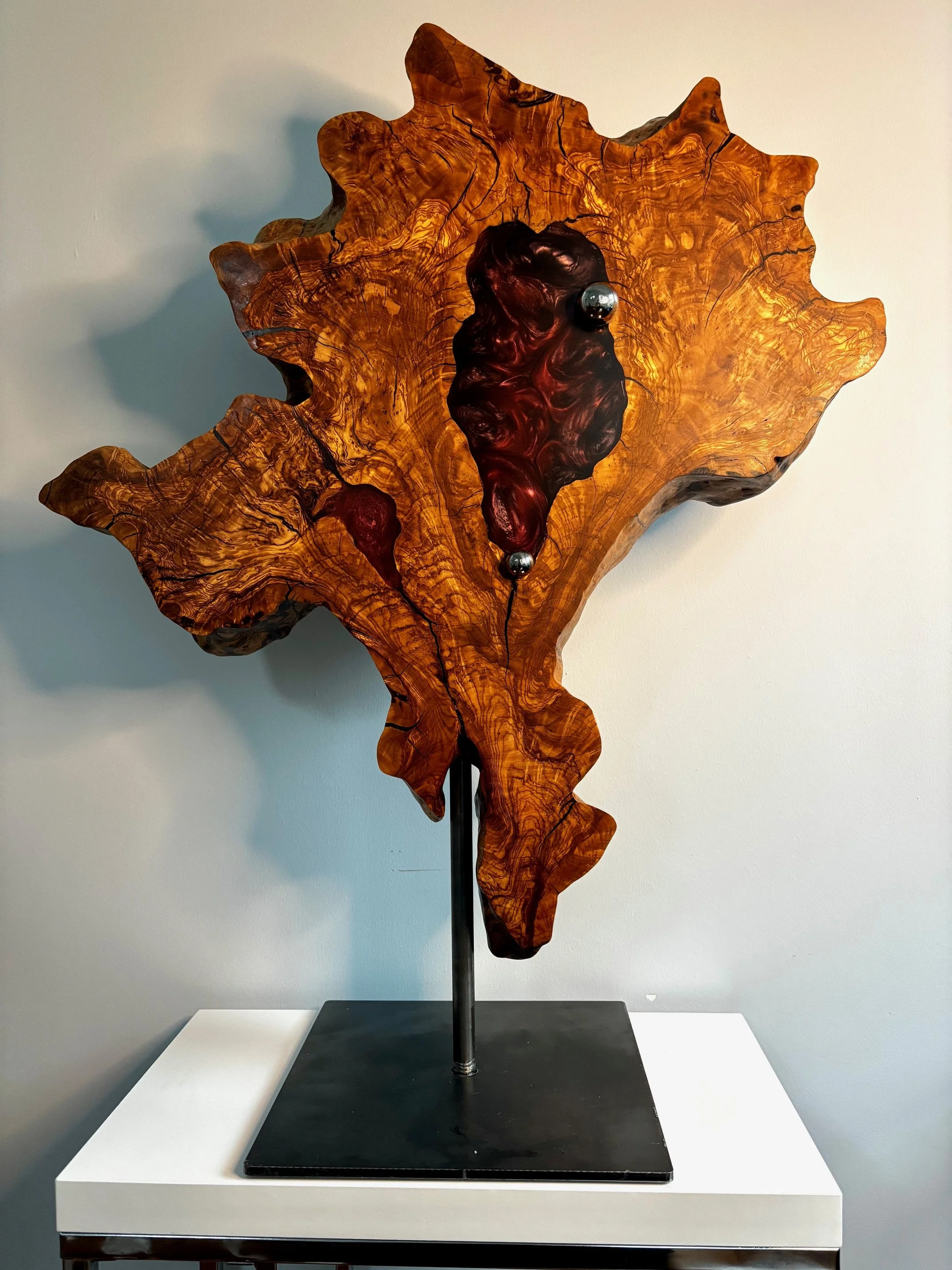 021426 Dizygotic.jpeg