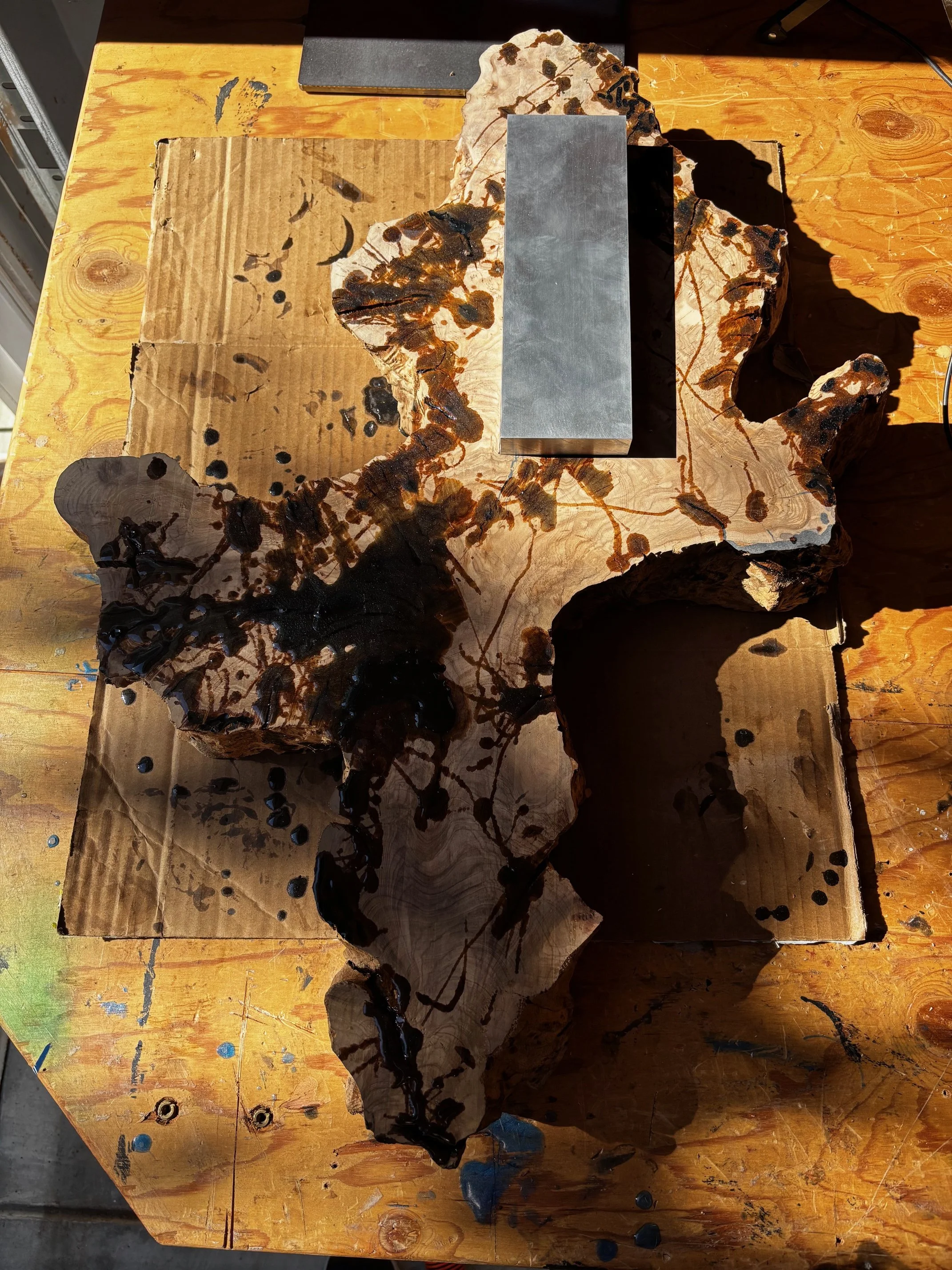 Organized Disorder 1.jpeg