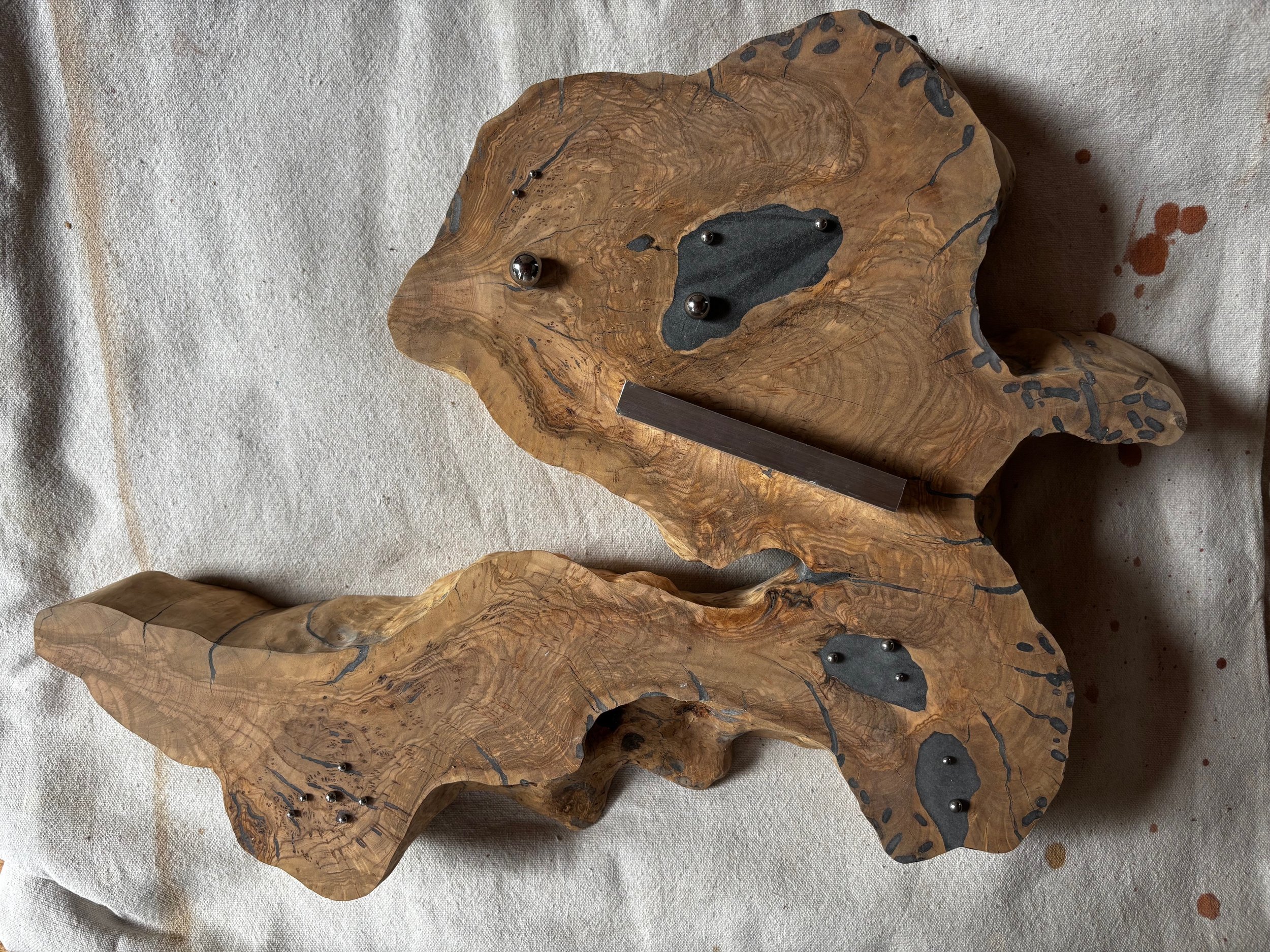 November Sky (CURRENTLY EVOLVING)