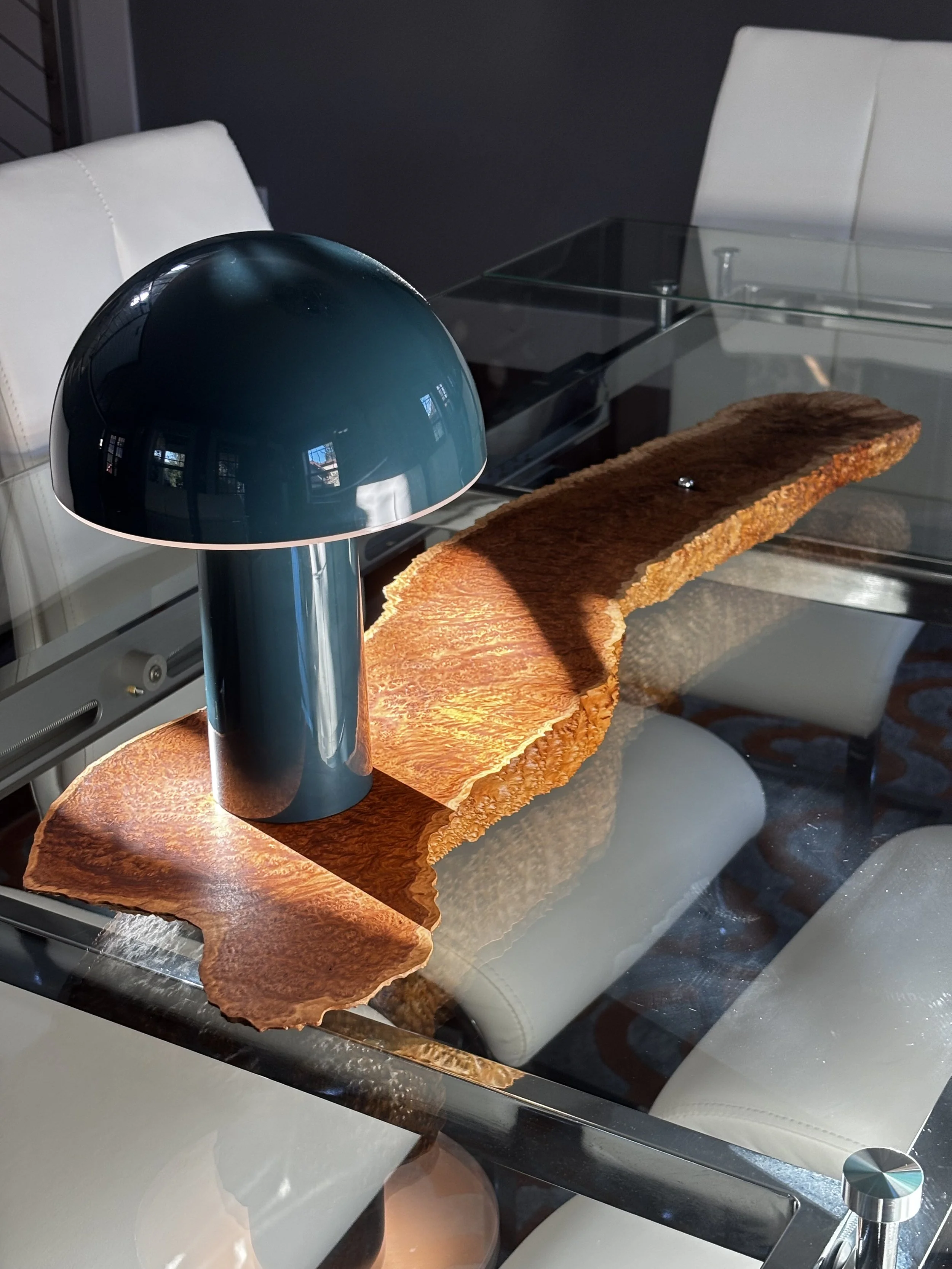 Regenerative Shrooms 2.jpeg