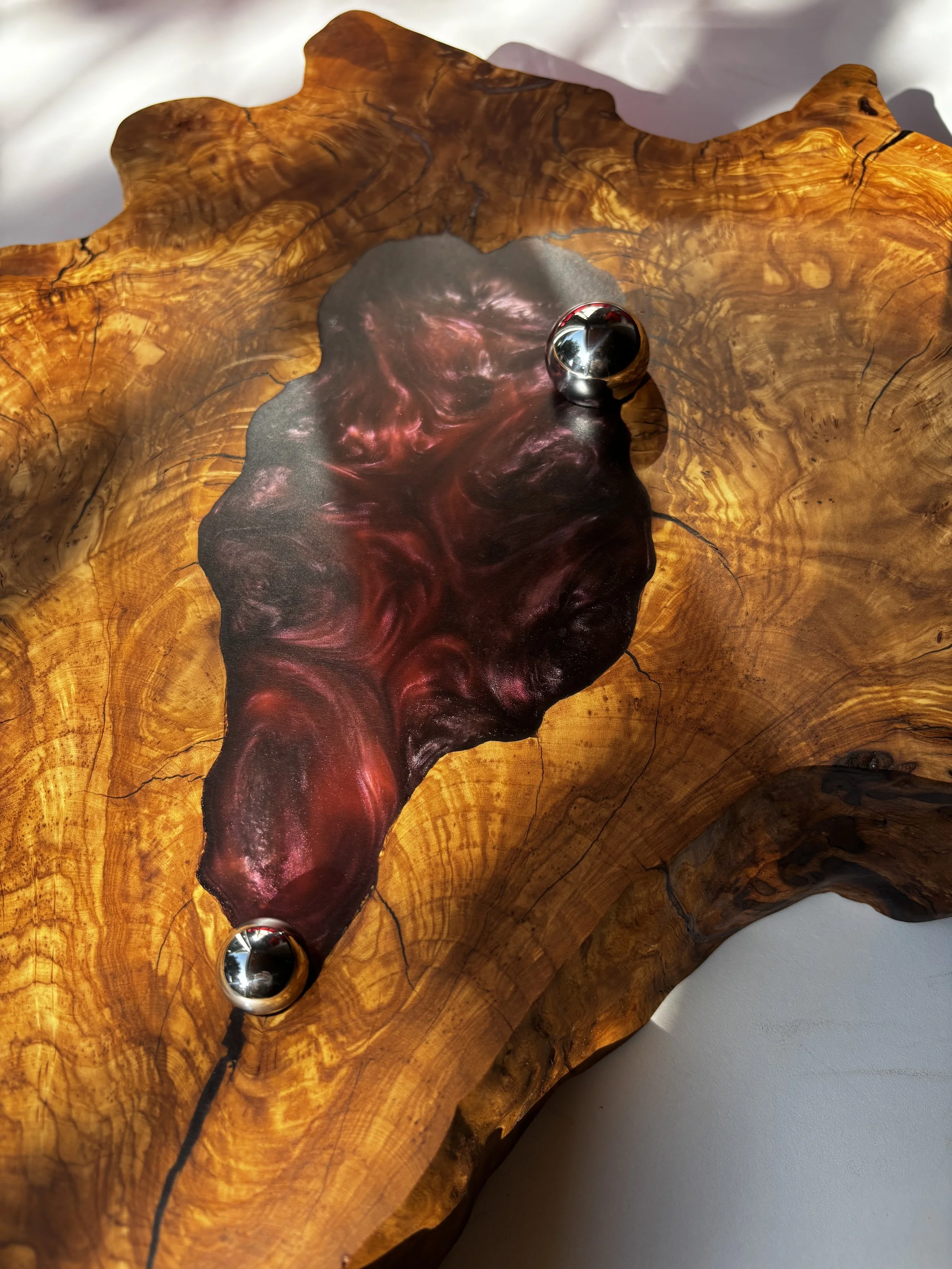 020626 dizygotic 1.jpeg