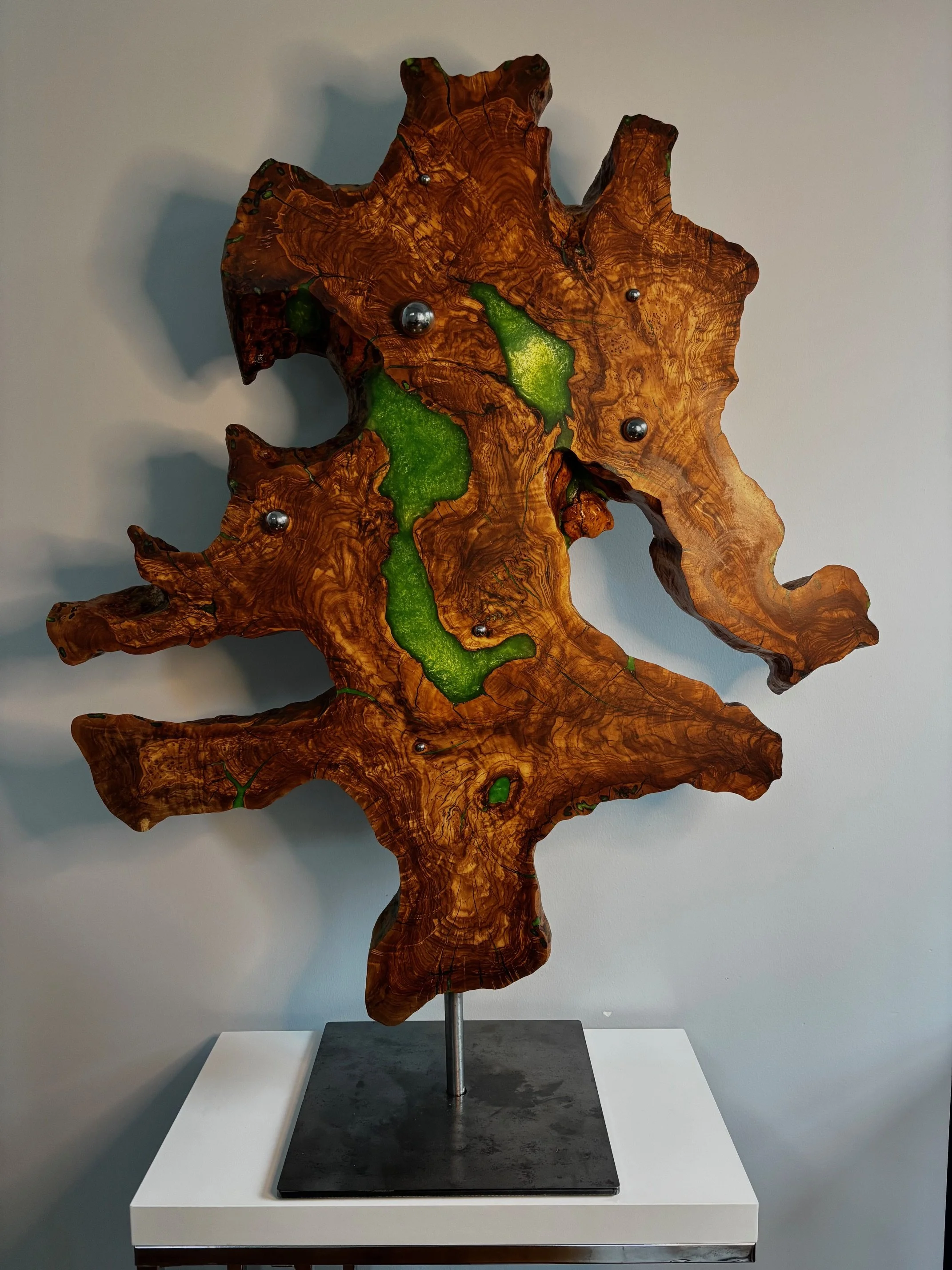 021426 TreeOfLife.jpeg