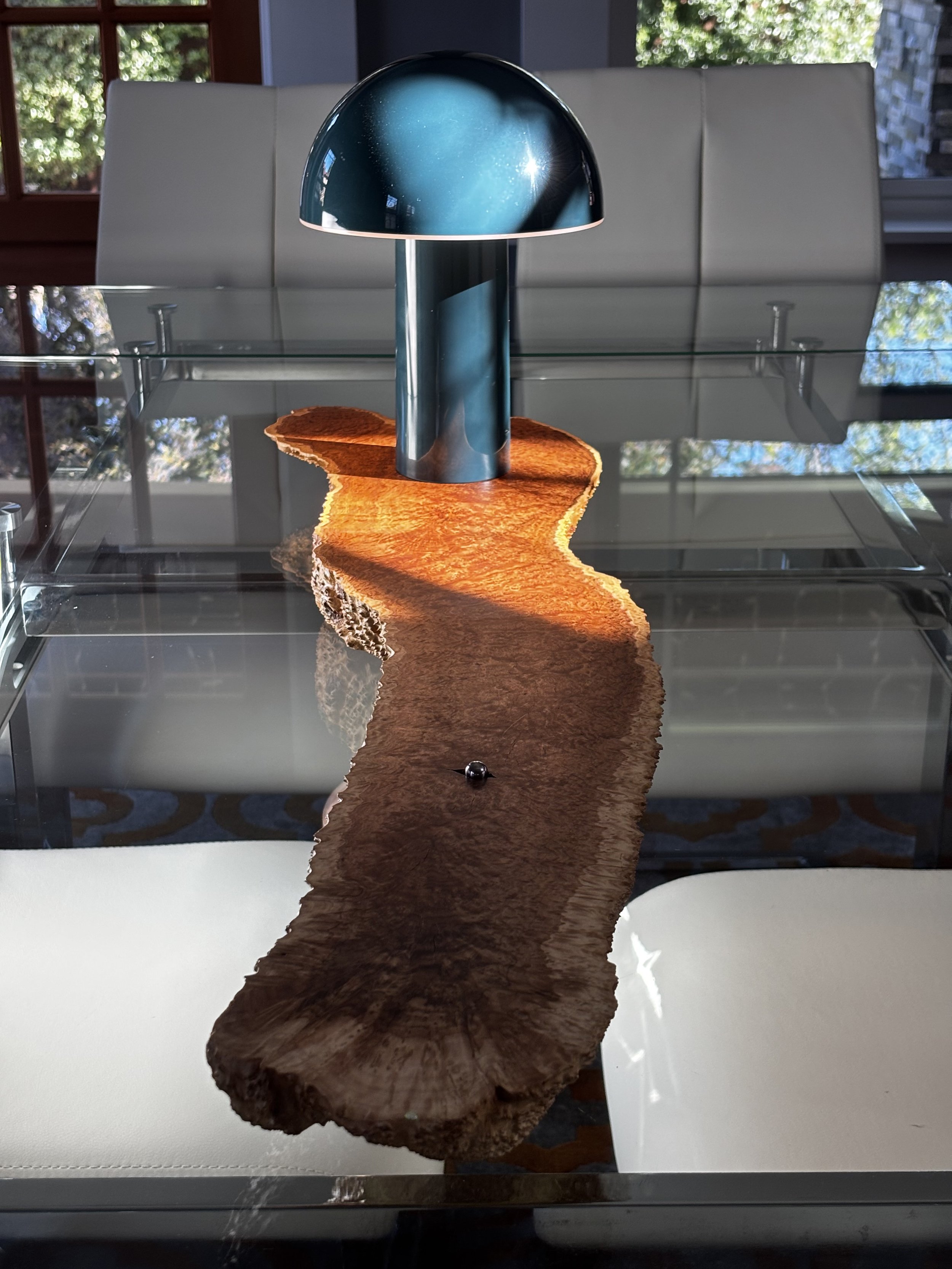 Regenerative Shrooms 1.jpeg