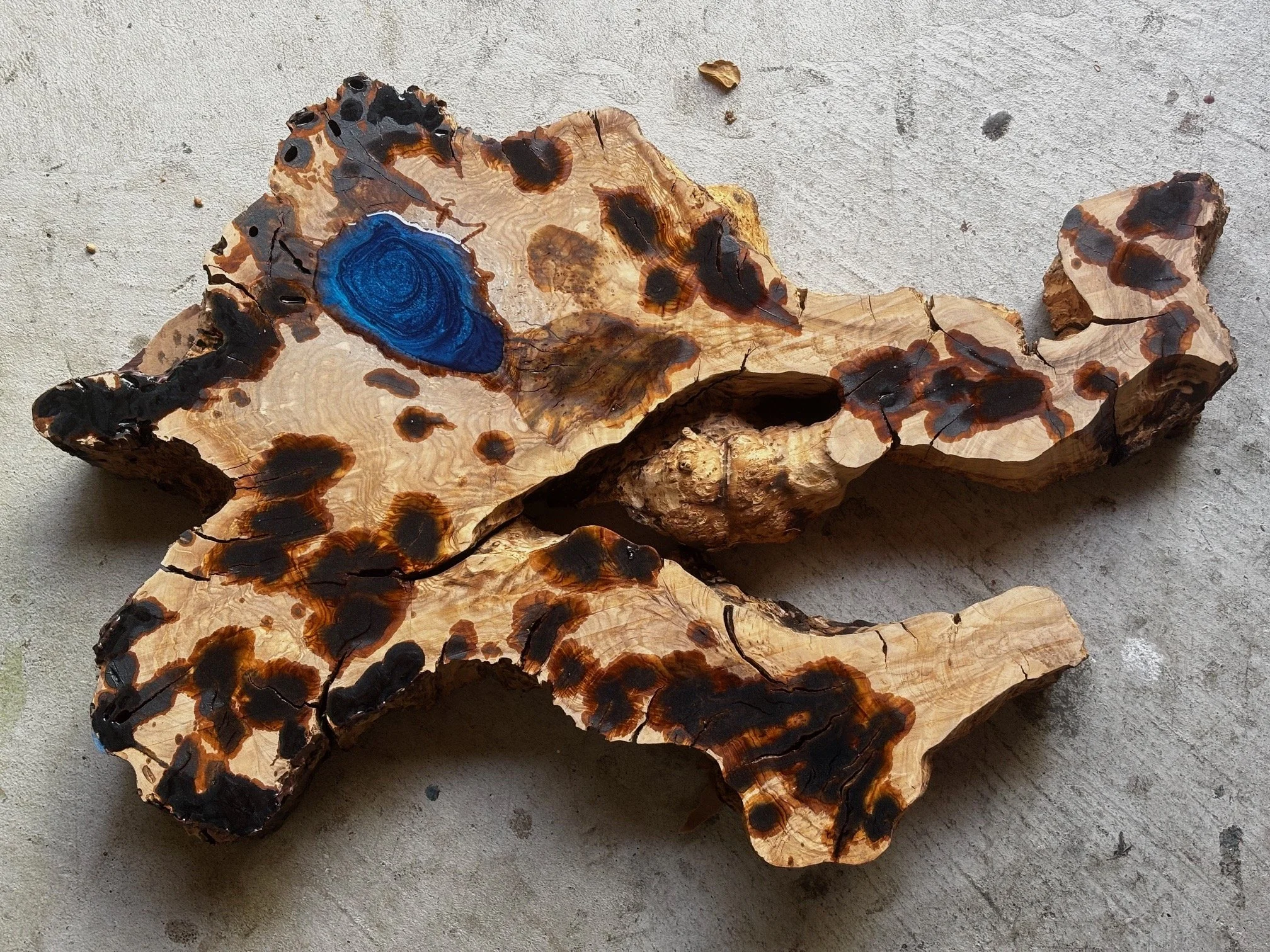 Vivid, But Untrue (CURRENTLY EVOLVING)