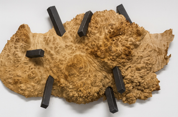 Embeded Cognition 1.png