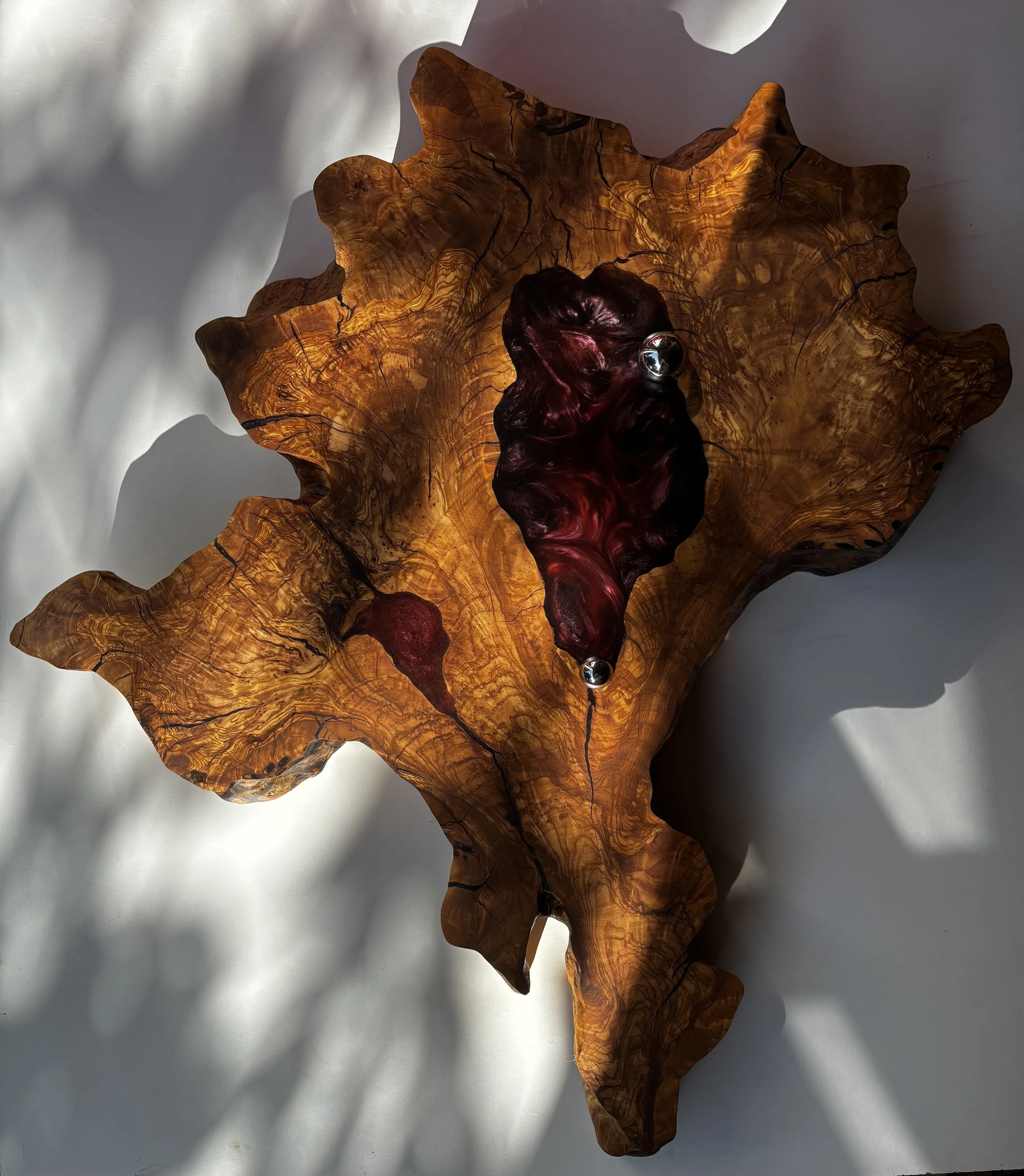 020626 dizygotic 2.jpeg