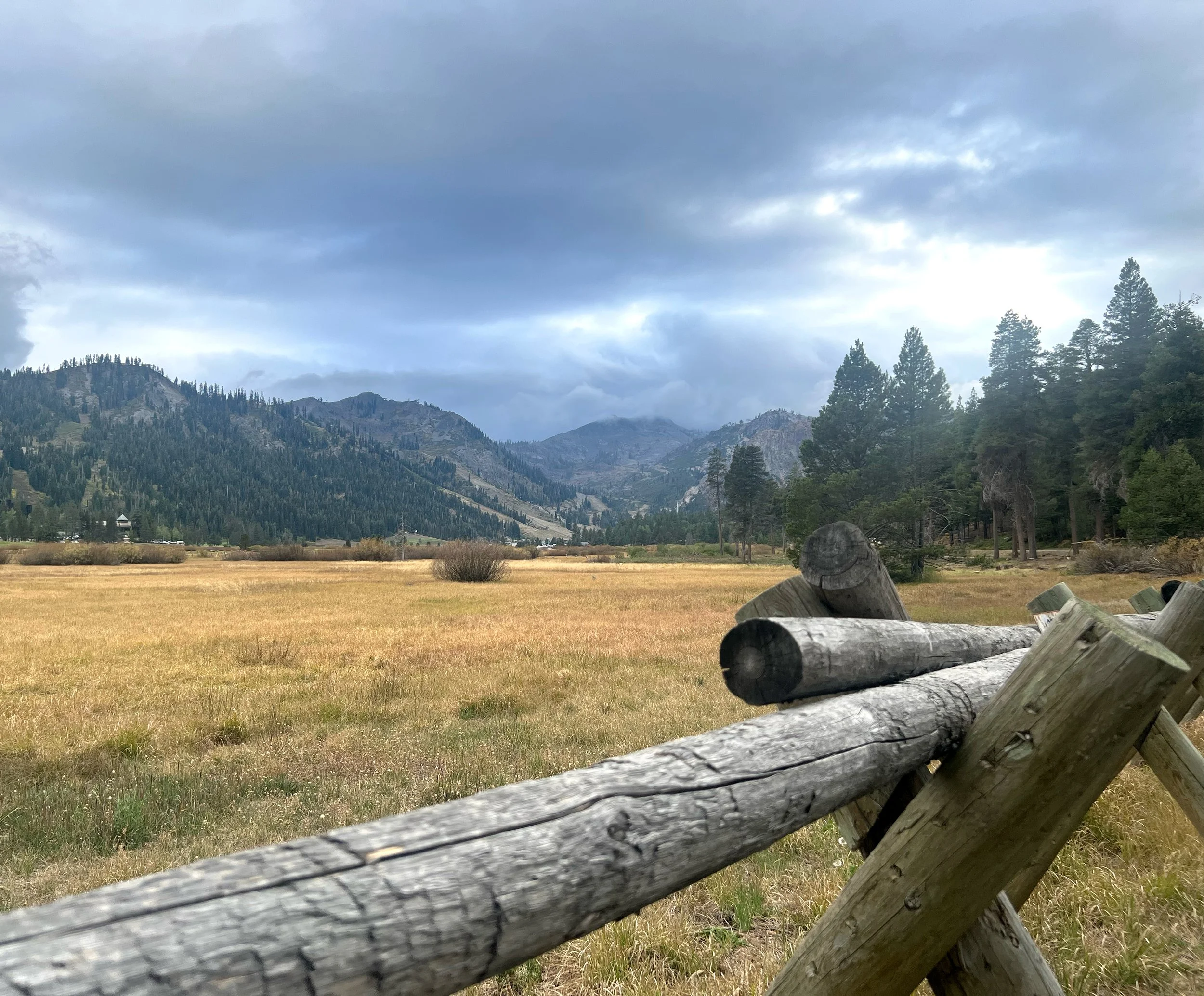 Site Location 02.jpg