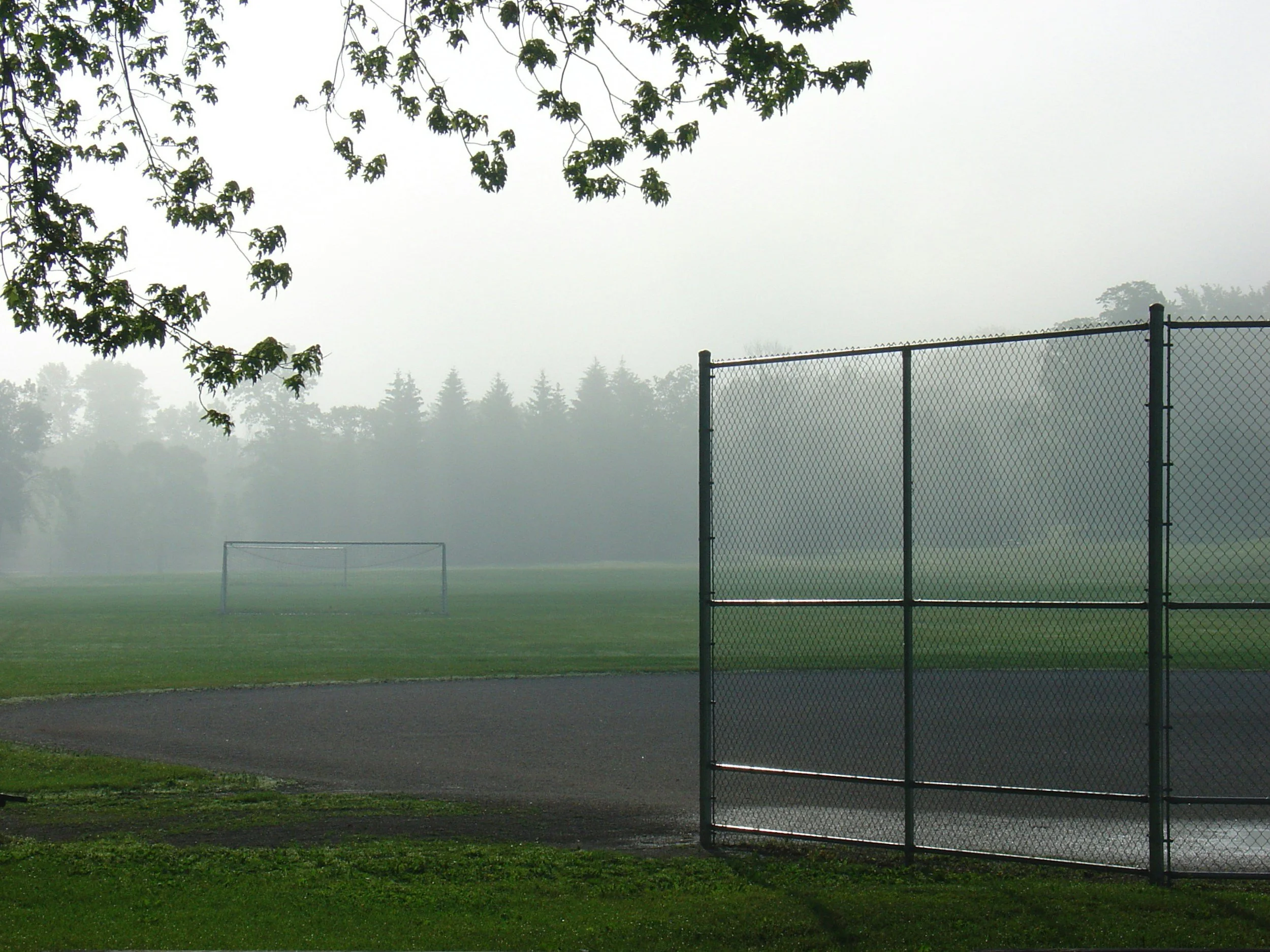 A foggy outdoor sports field with a chain link fence in the foreground and a soccer goal in the distance, surrounded by trees.