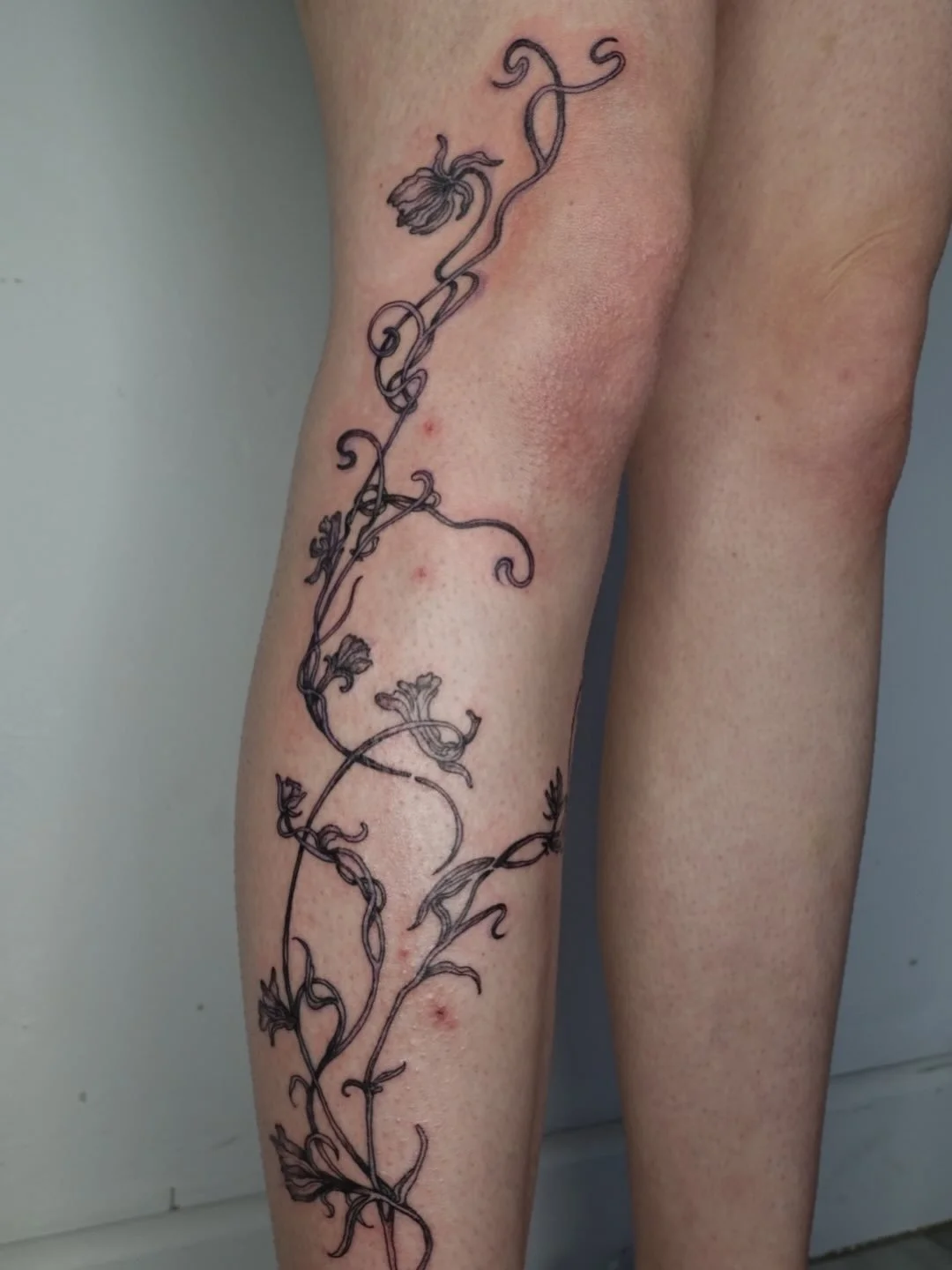 Freehanded art nouveau and botanical drawings-inspired florals ؛༊❀✽ꫂ❁&deg;❀.ೃ࿔*
Open to customs like this ❀᭢✿᭢
#londontattoo #artnouveautattoo #floraltattoo #delicatetattoo #tttism 3rl floral abstract ornamental tattoo artist turkish tattooist freeha