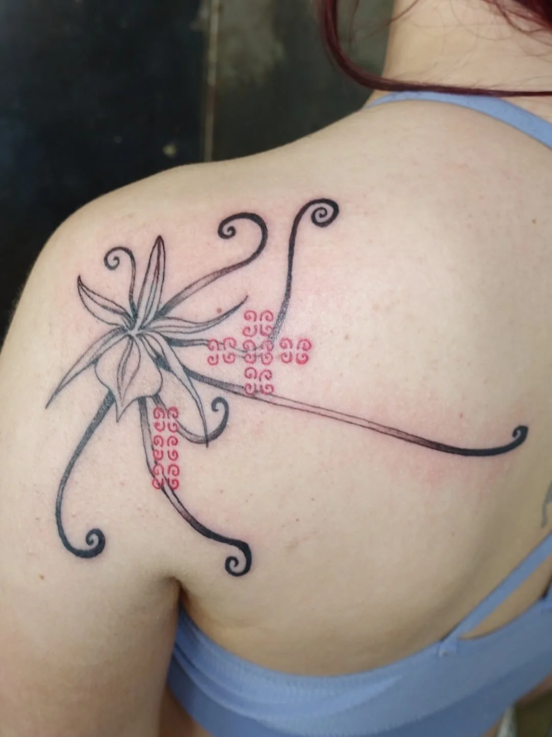 orchid with spirals ᭄᭡ ᭄᭡ ᭄᭡ ͏
#orchidtattoo #flowertattoo #ornamentaltattoo #floraltattoo #tattooideas <3