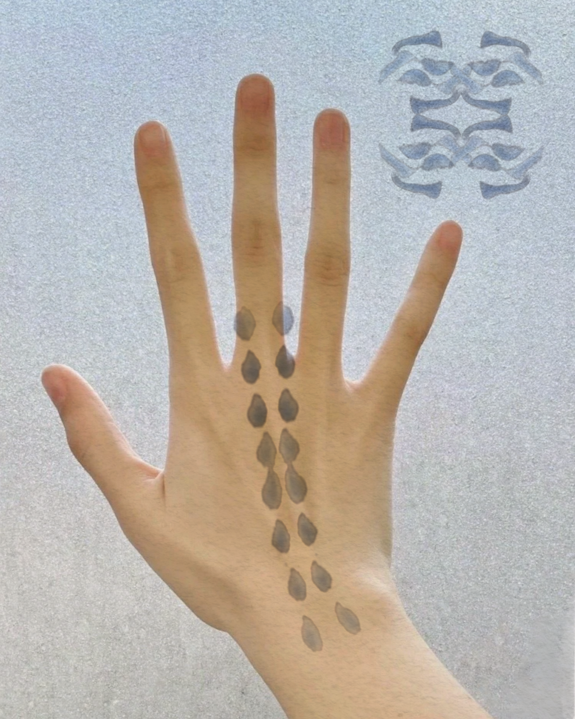 IMG_4001.PNG