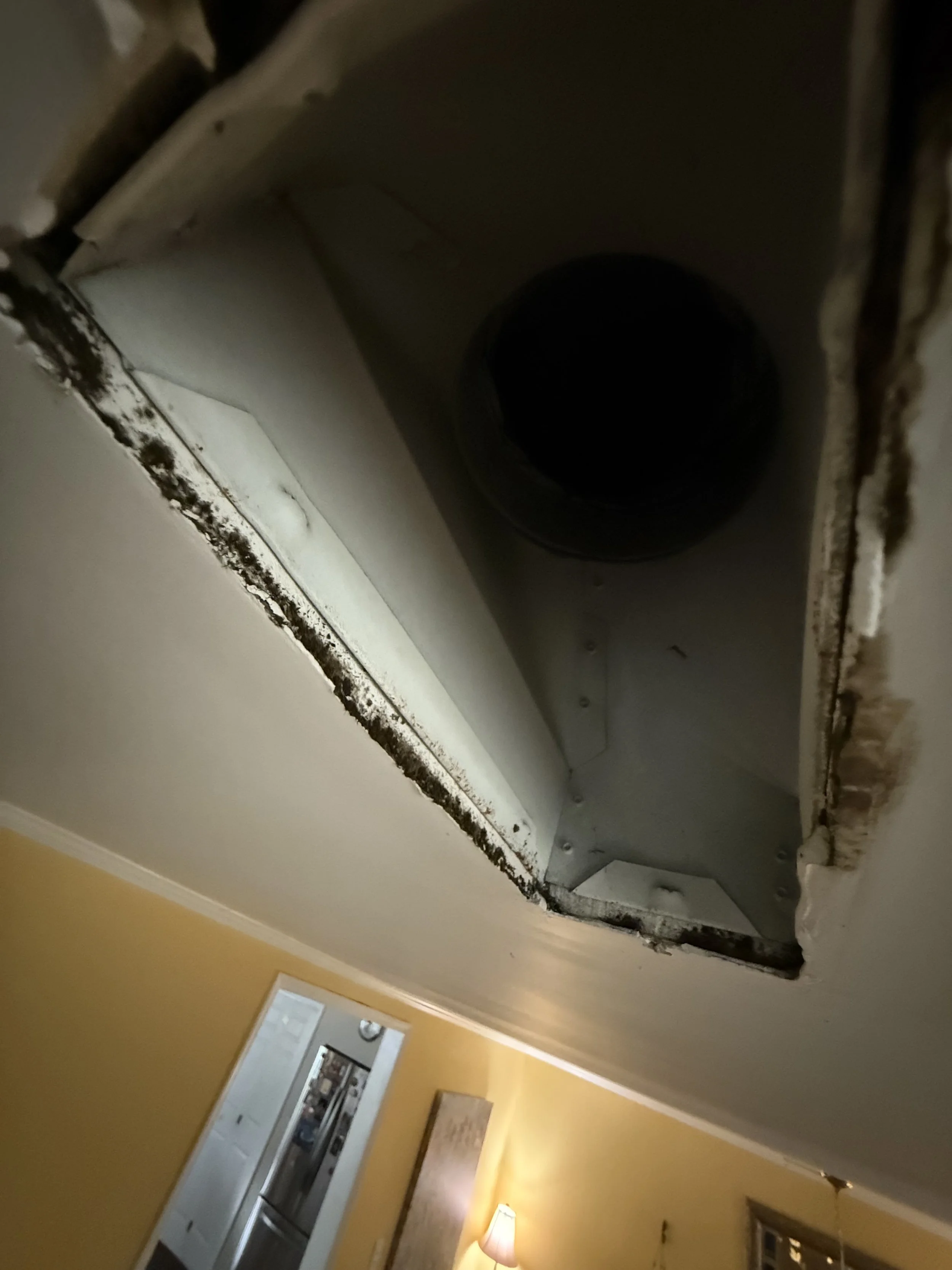 Mold a Hidden Hazard in your Home.