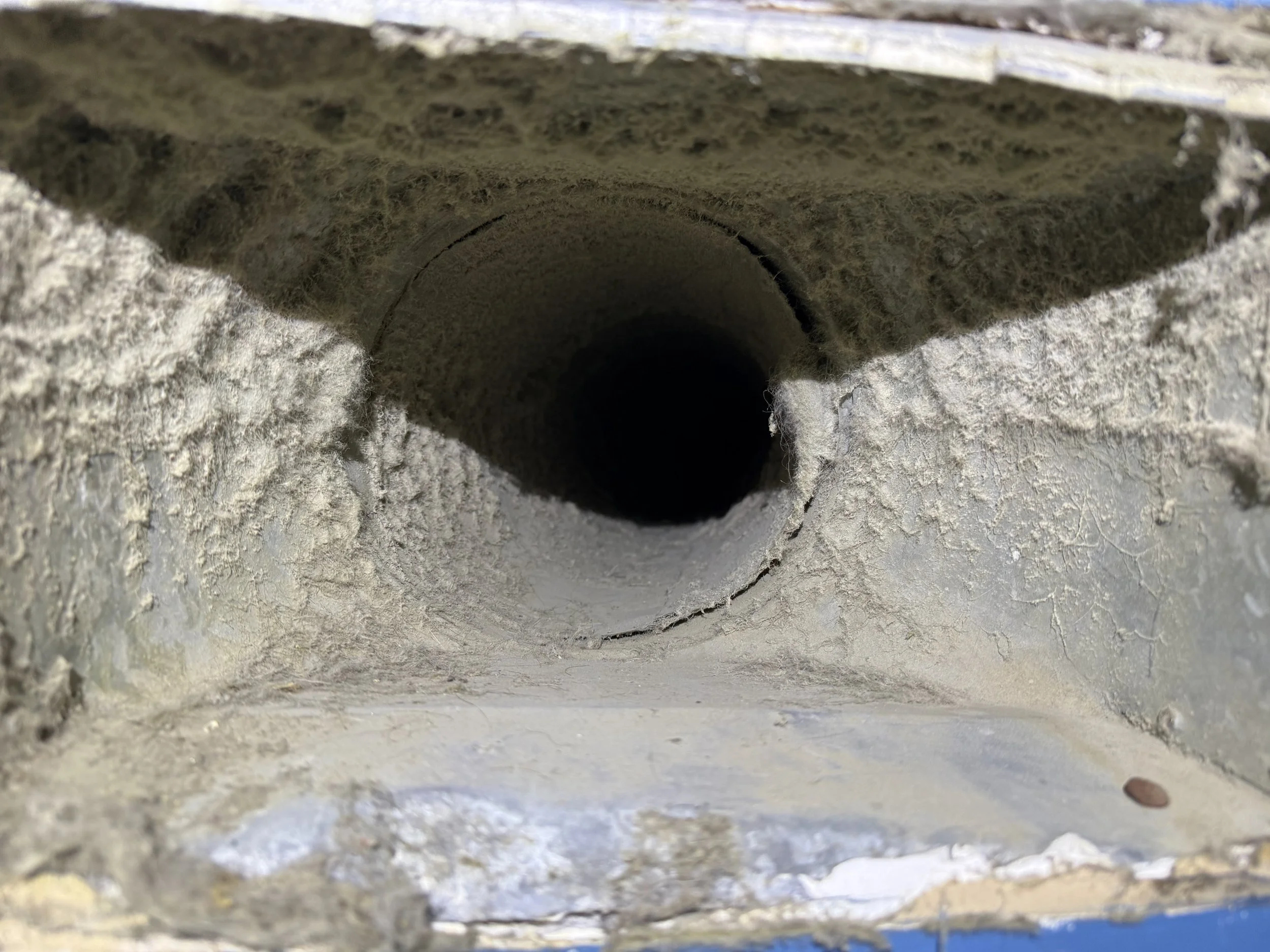 Spring Cleaning Your Air: Why Duct &amp; Dryer Vent Services Matter More Than You Think