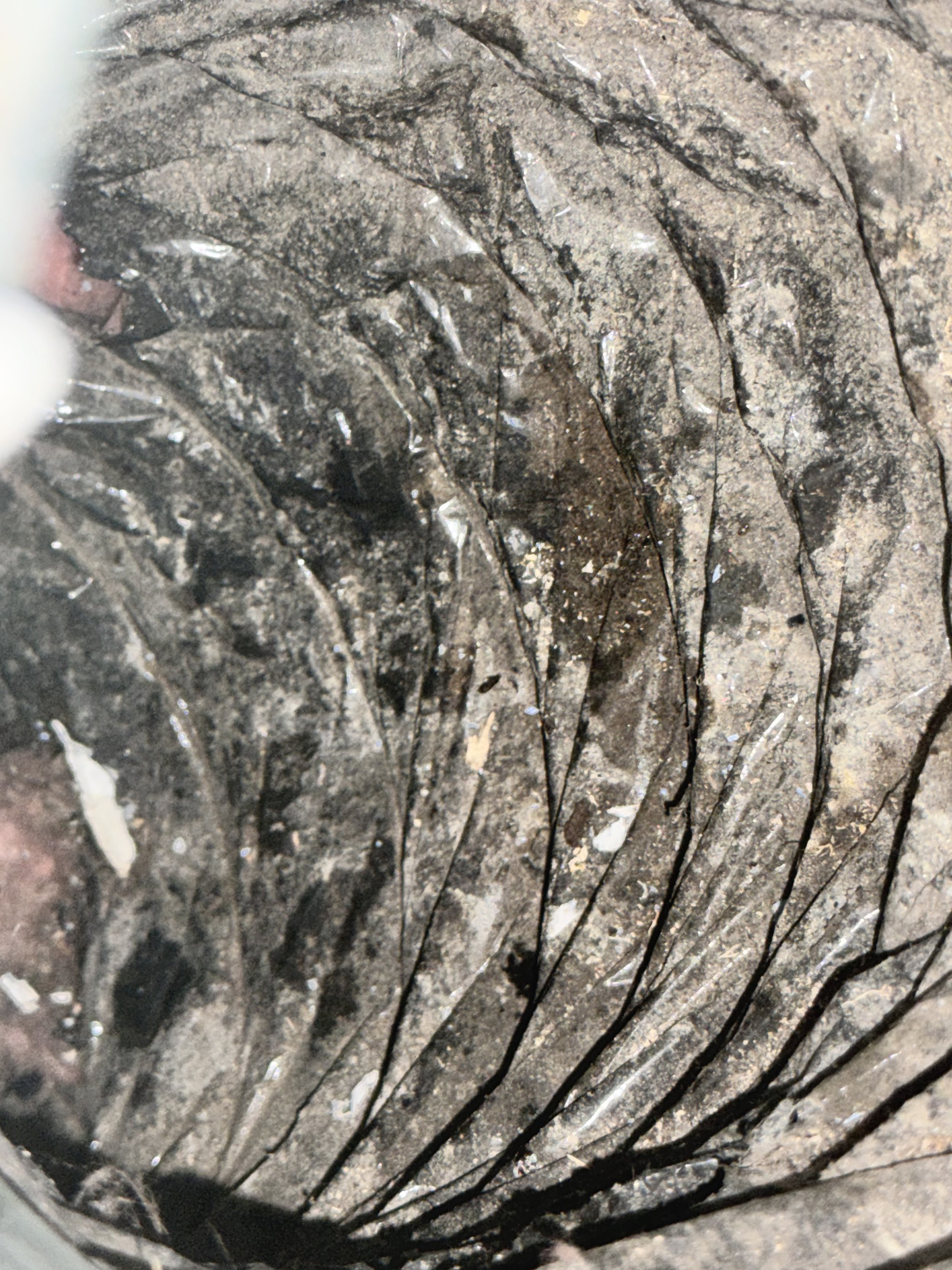 How to Prepare Your Home for Fall: Why Duct Cleaning Should Be on Your Checklist.