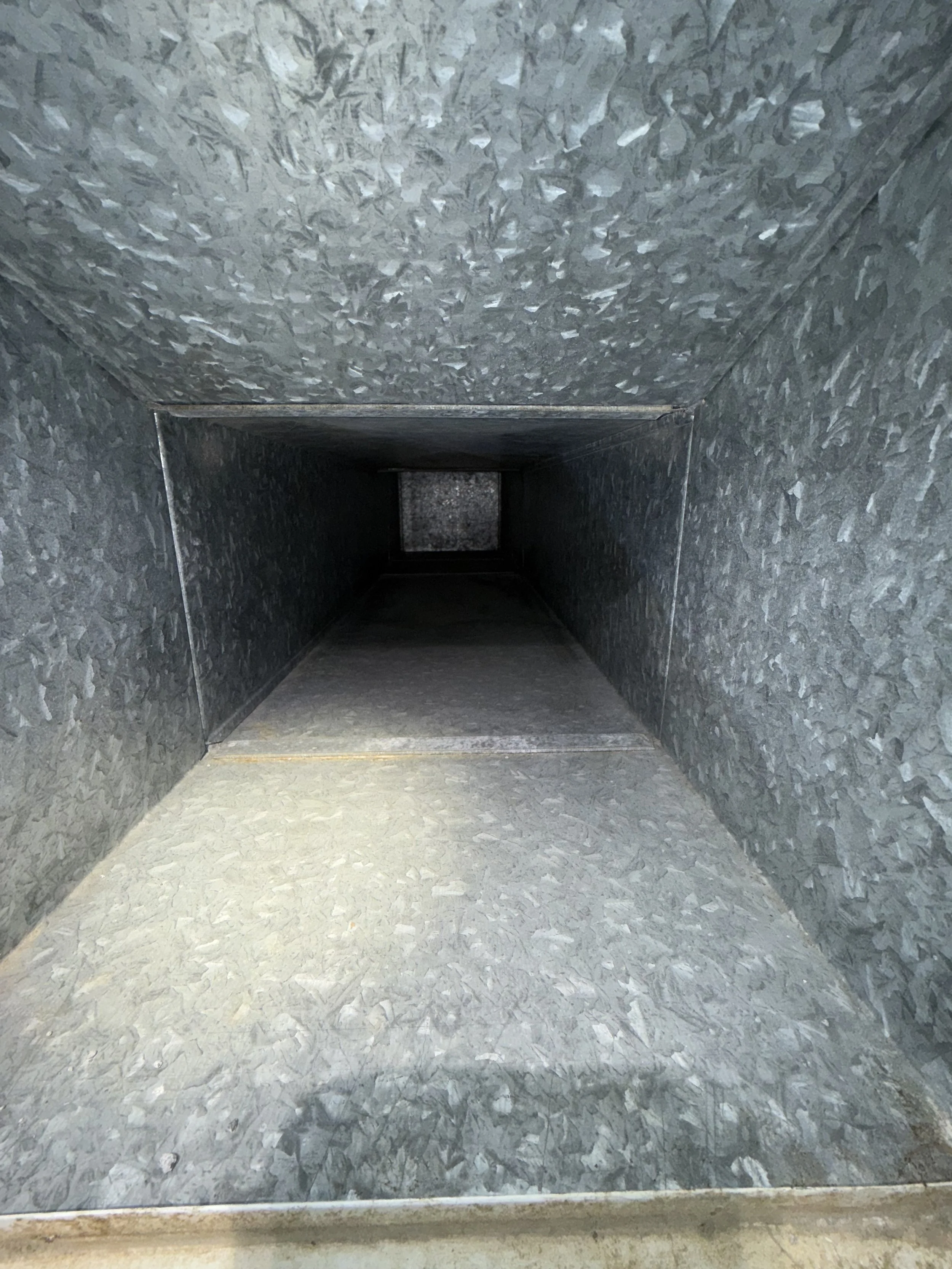 IMG_7051.jpeg