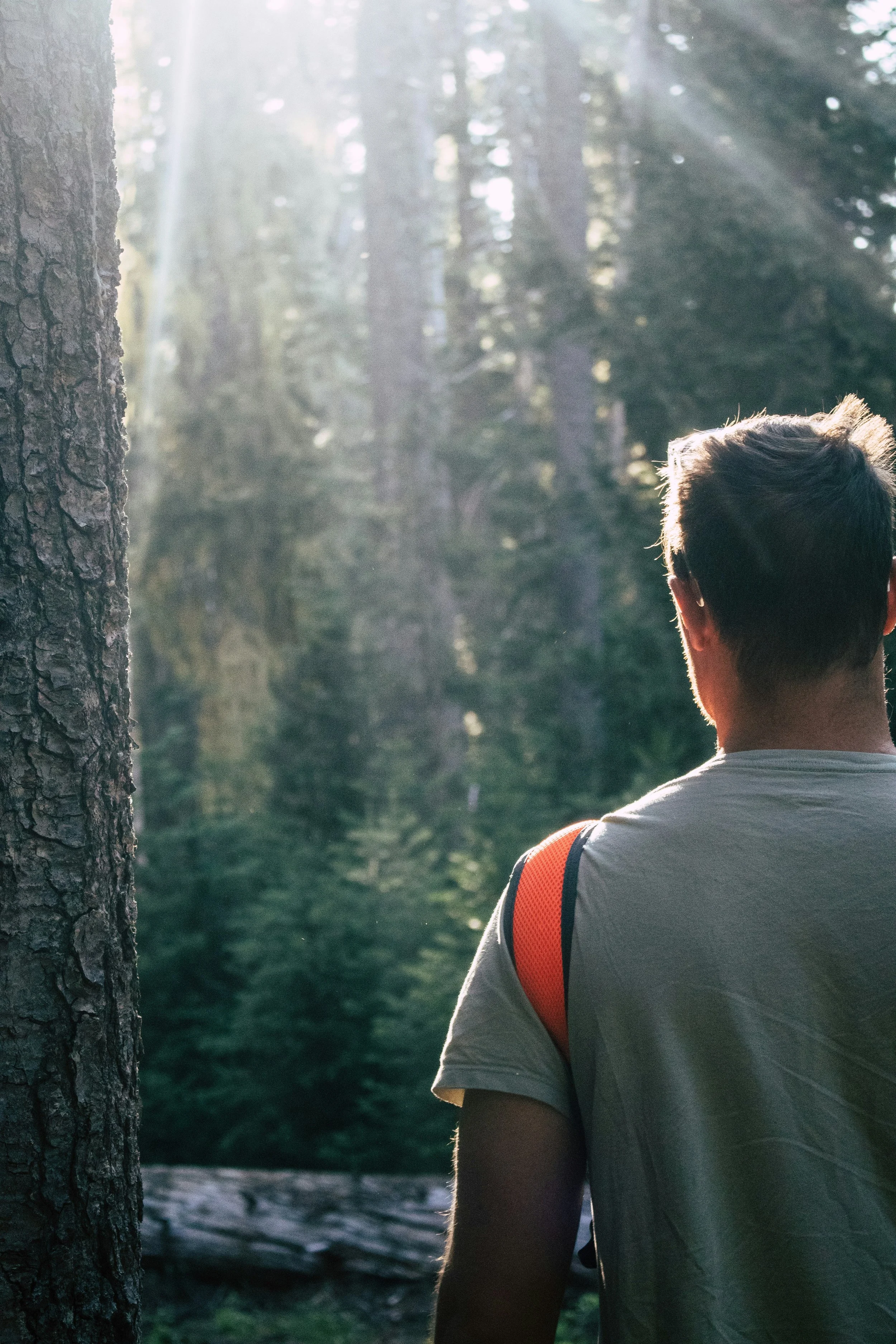 A person with short dark hair wearing a light t-shirt and an orange backpack standing in a forest, looking away towards tall trees with sunlight streaming through the branches.