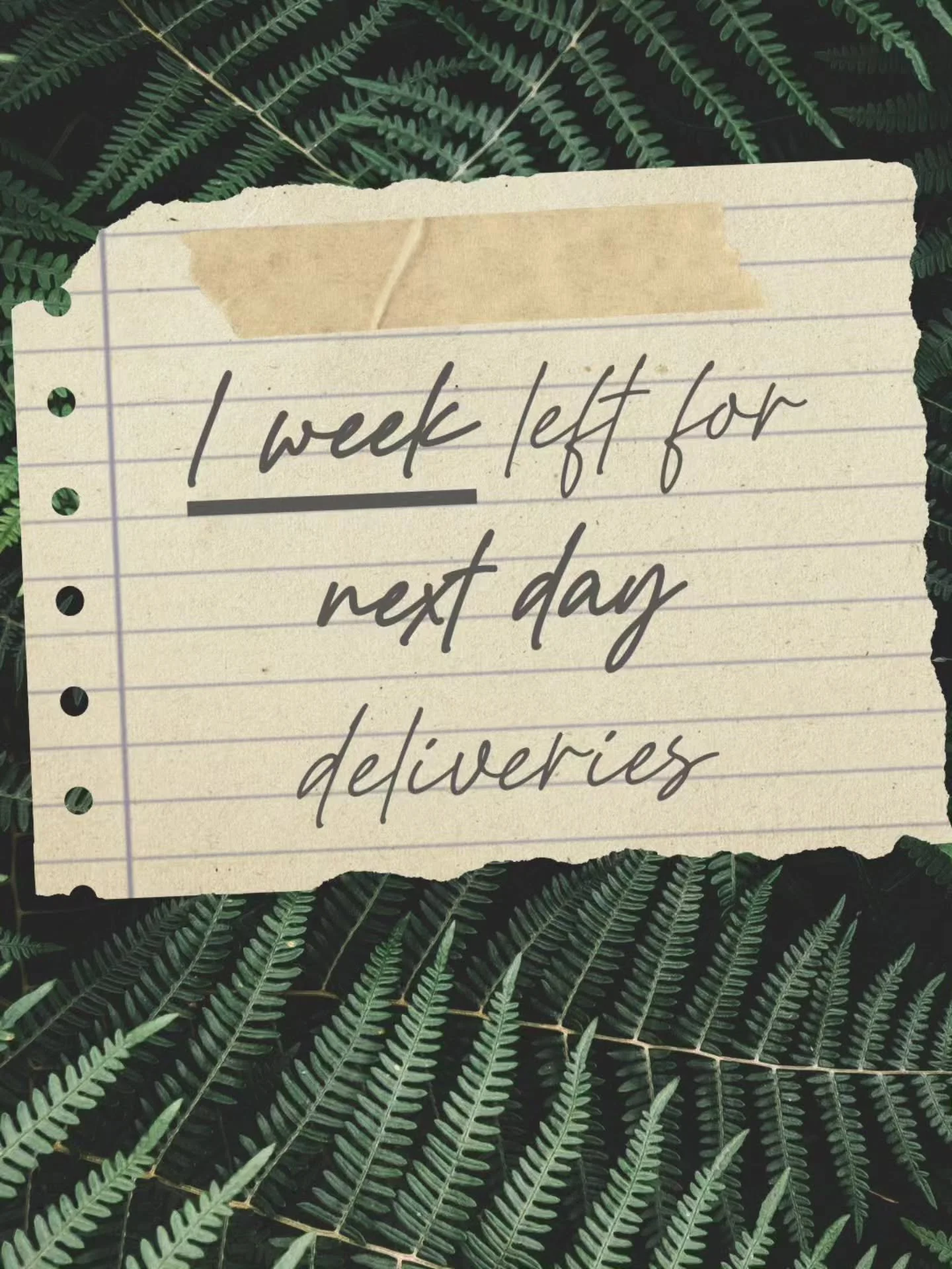 A reminder that all orders placed between September 18th and September 28th will be delivered on Tuesday, September 29th.

Take advantage of our free delivery all month and start your zero waste journey with us!