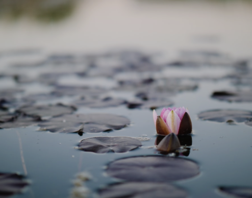 VIP Deep-Dive - Personal Relationships Calibration