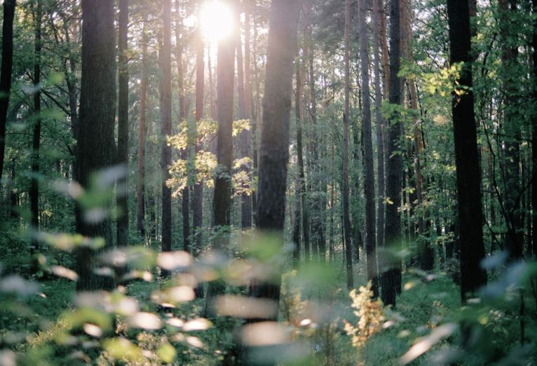 Release old imprints and step into your natural rhythm.