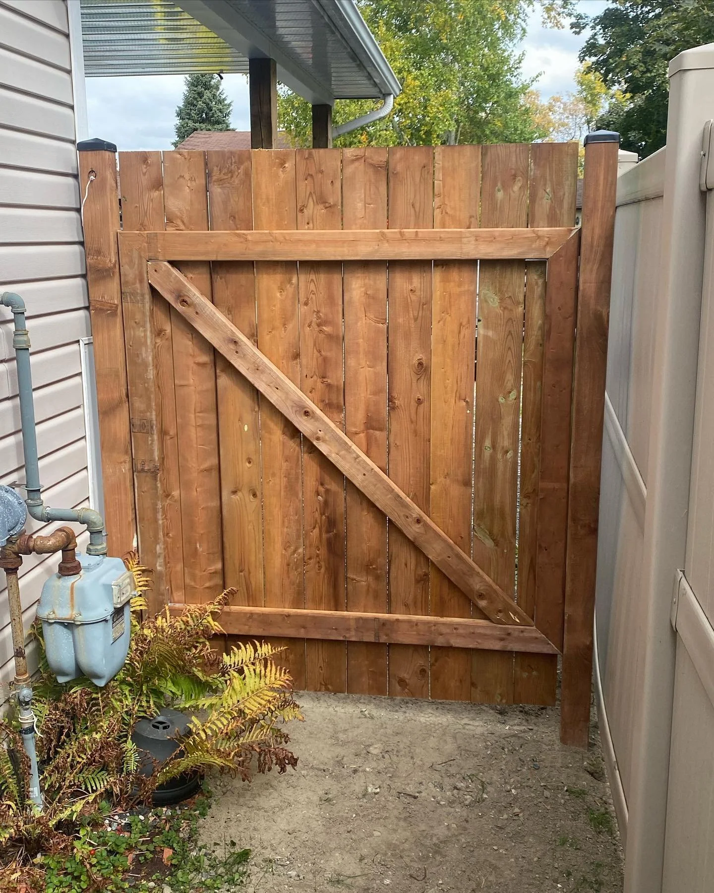 A wooden privacy fence with a diagonal support board on the left side, situated between a house with beige siding and a beige storage shed, with some greenery and plants at the base.