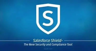 Taking Salesforce Security to the Next Level: What You Need to Know About Salesforce Shield&nbsp;