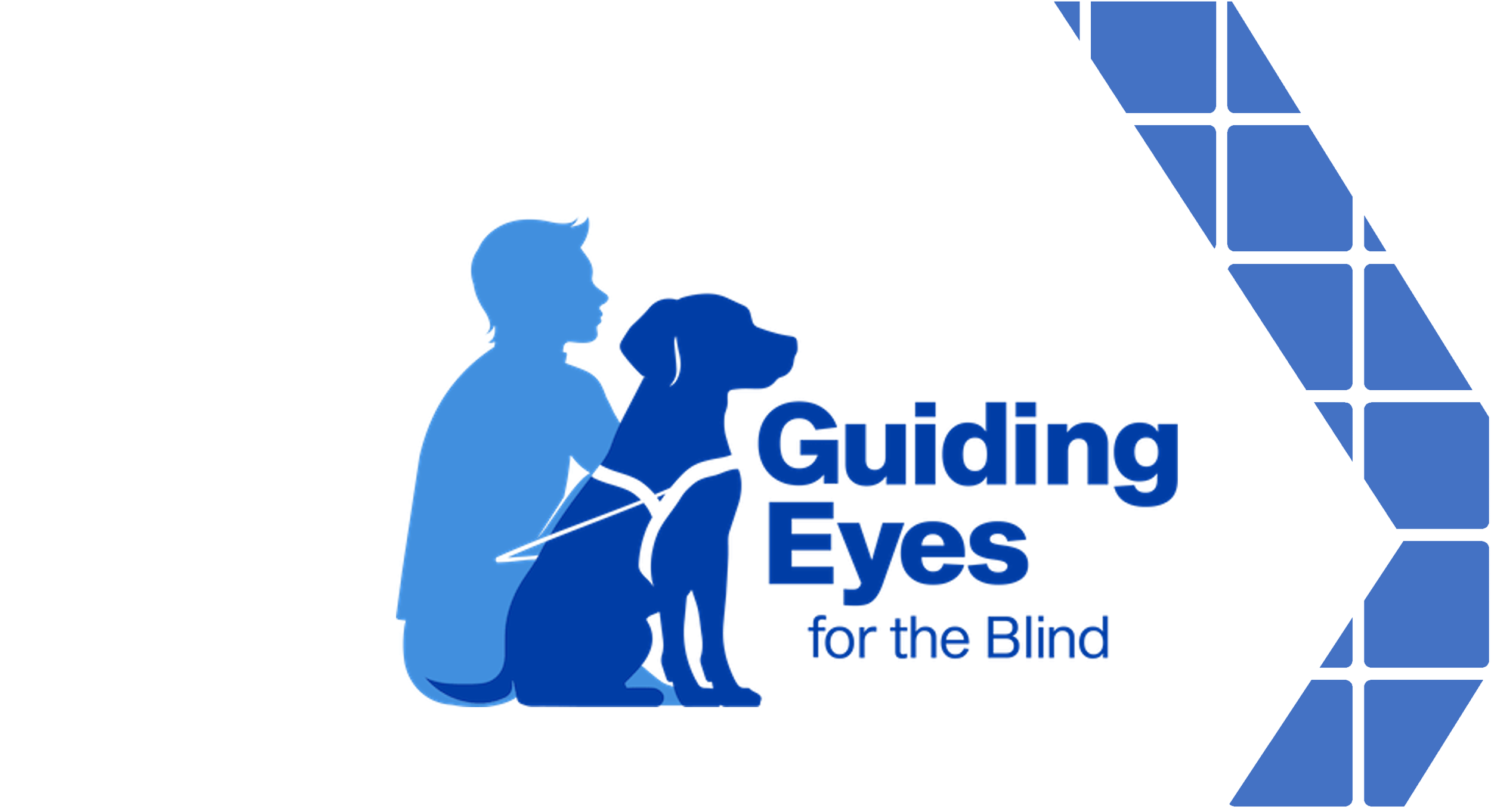 Eigen X Case Study - Guiding Eyes for the Blind​