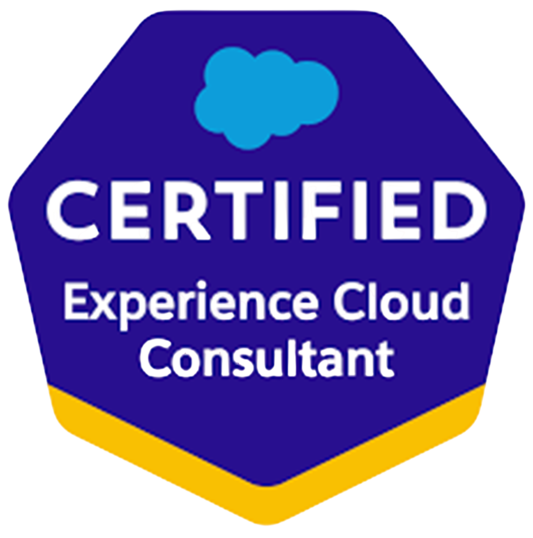 Blue badge with cloud icon and text stating 'Certified Experience Cloud Consultant'.