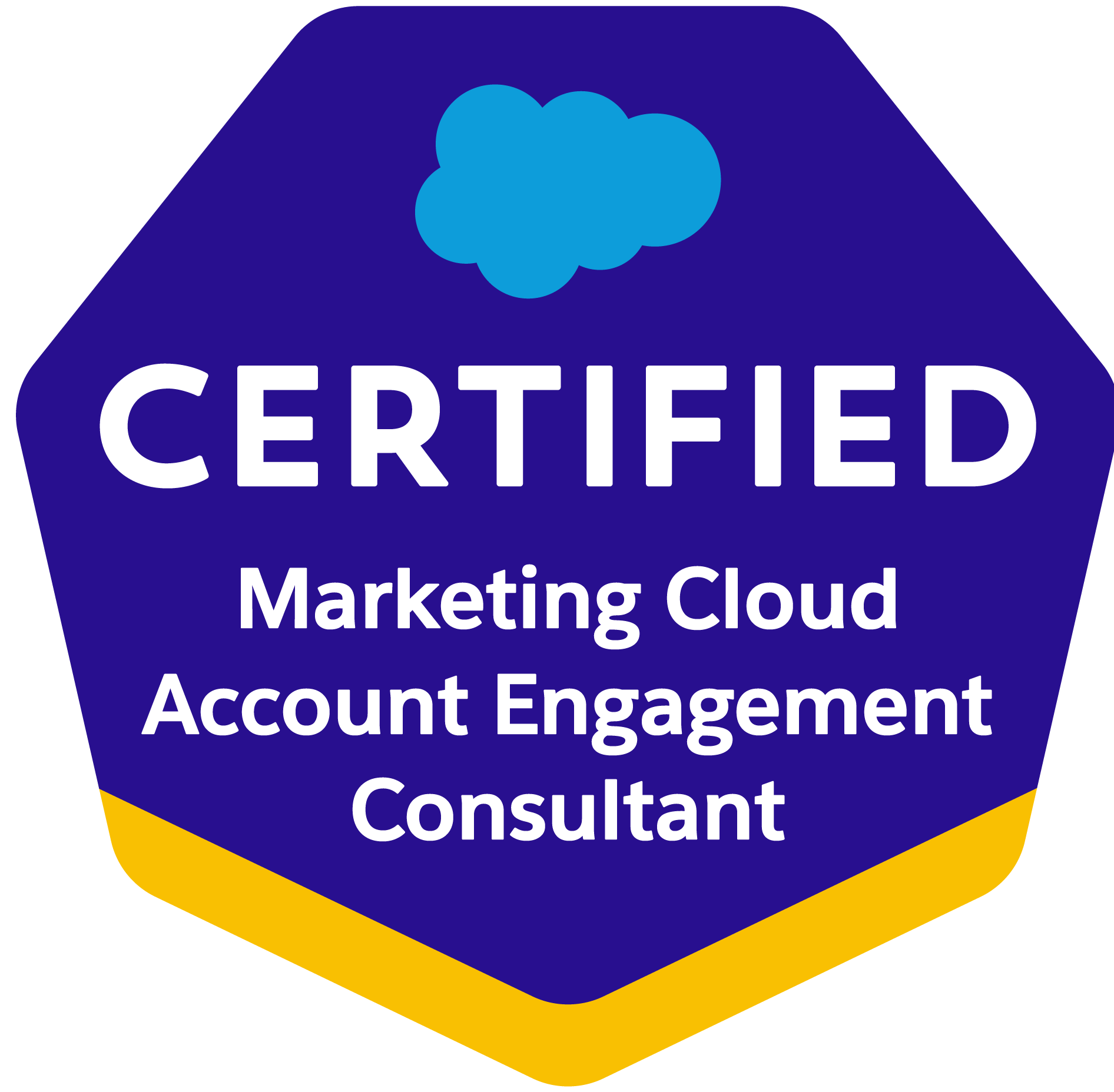 Marketing Cloud Account Engagement Consultant