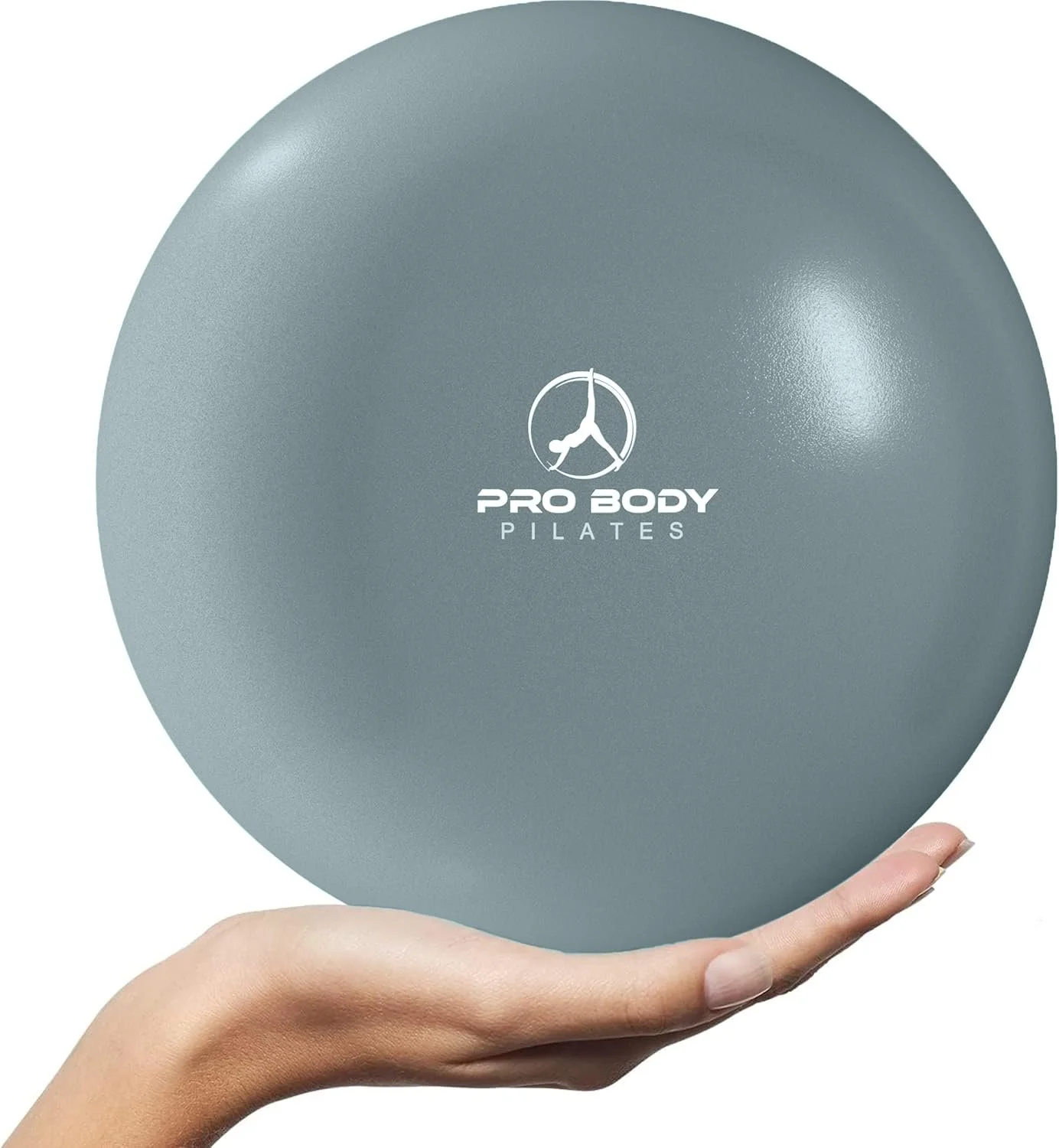 A hand holding a gray exercise ball with the logo and text 'Pro Body Pilates' printed on it.