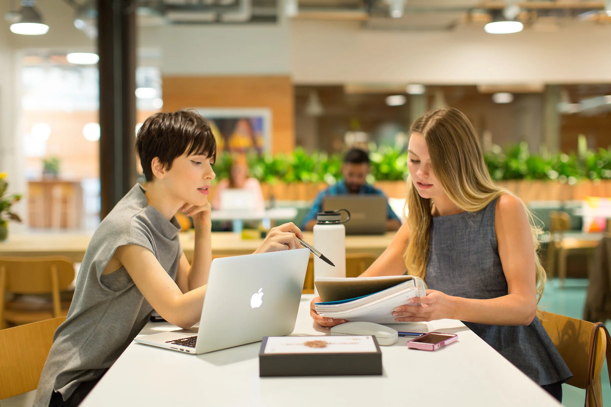 Menlo Park | Photography by Sherri Johnson