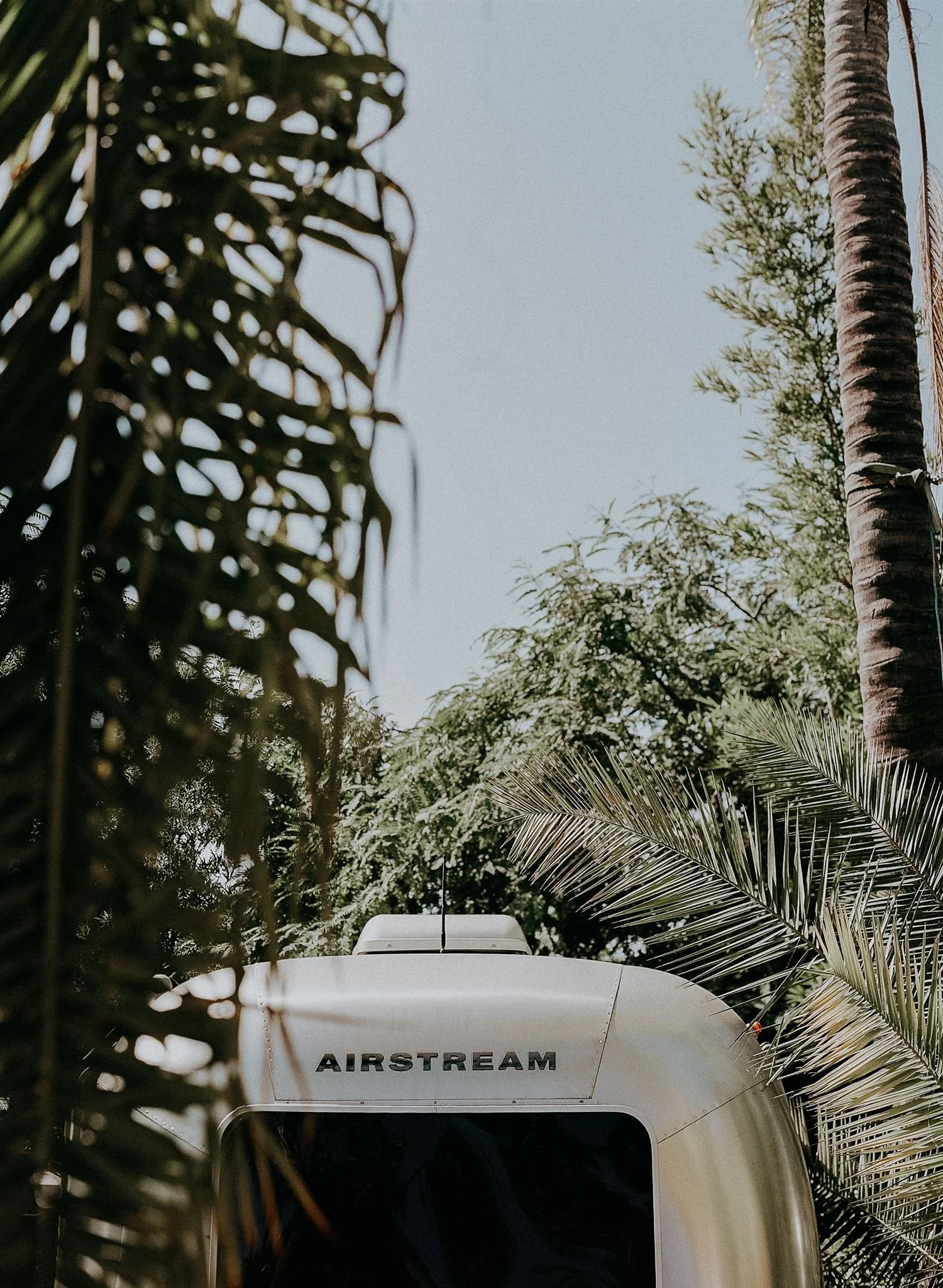 @albanykatz