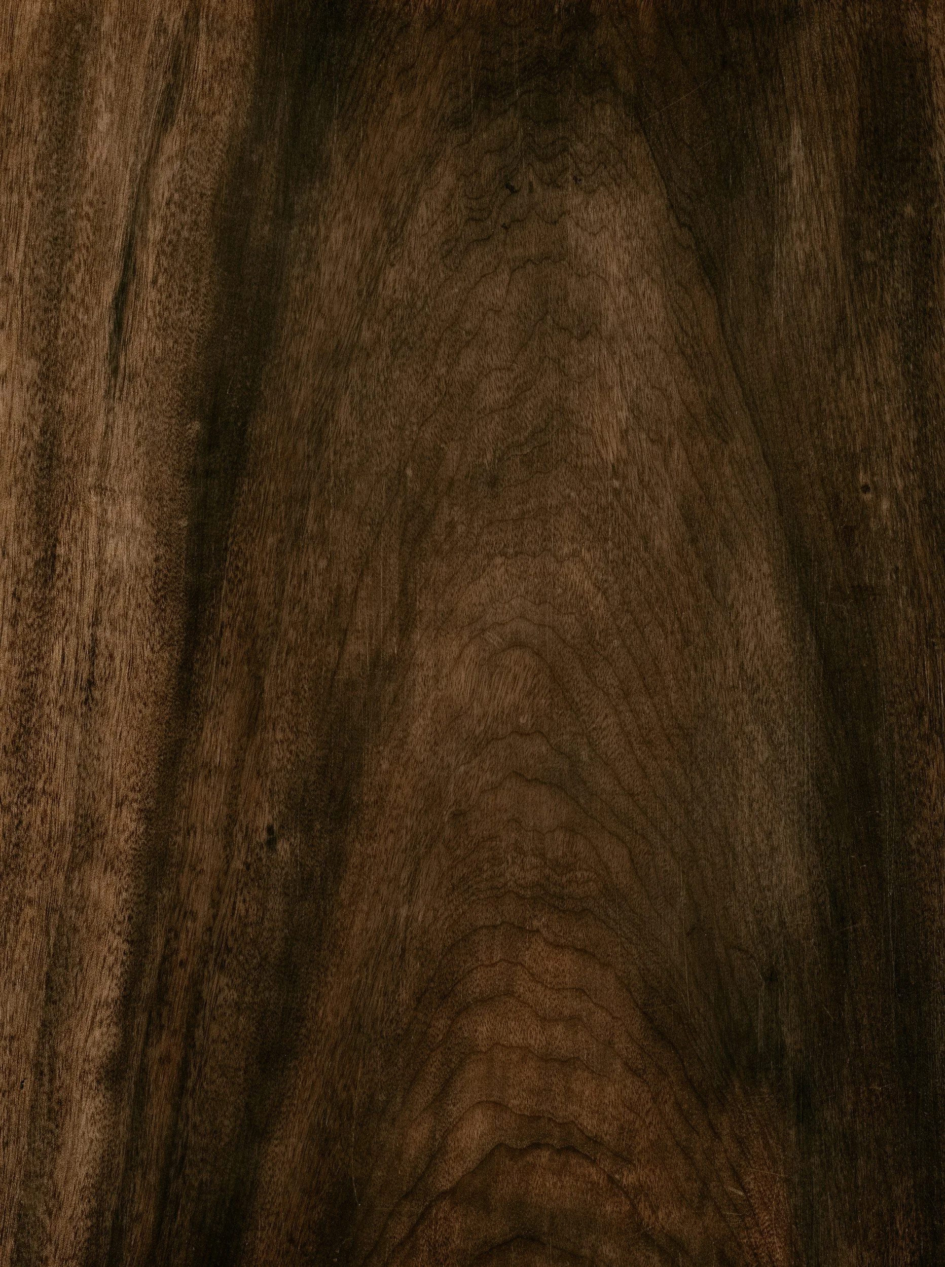 Close-up of a dark brown piece of wood with visible grain pattern.