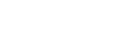 Singer Wealth