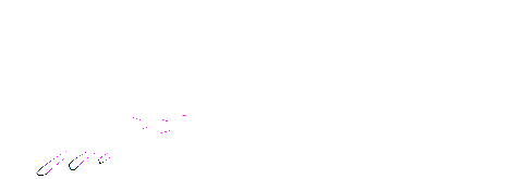 Vincera Institute