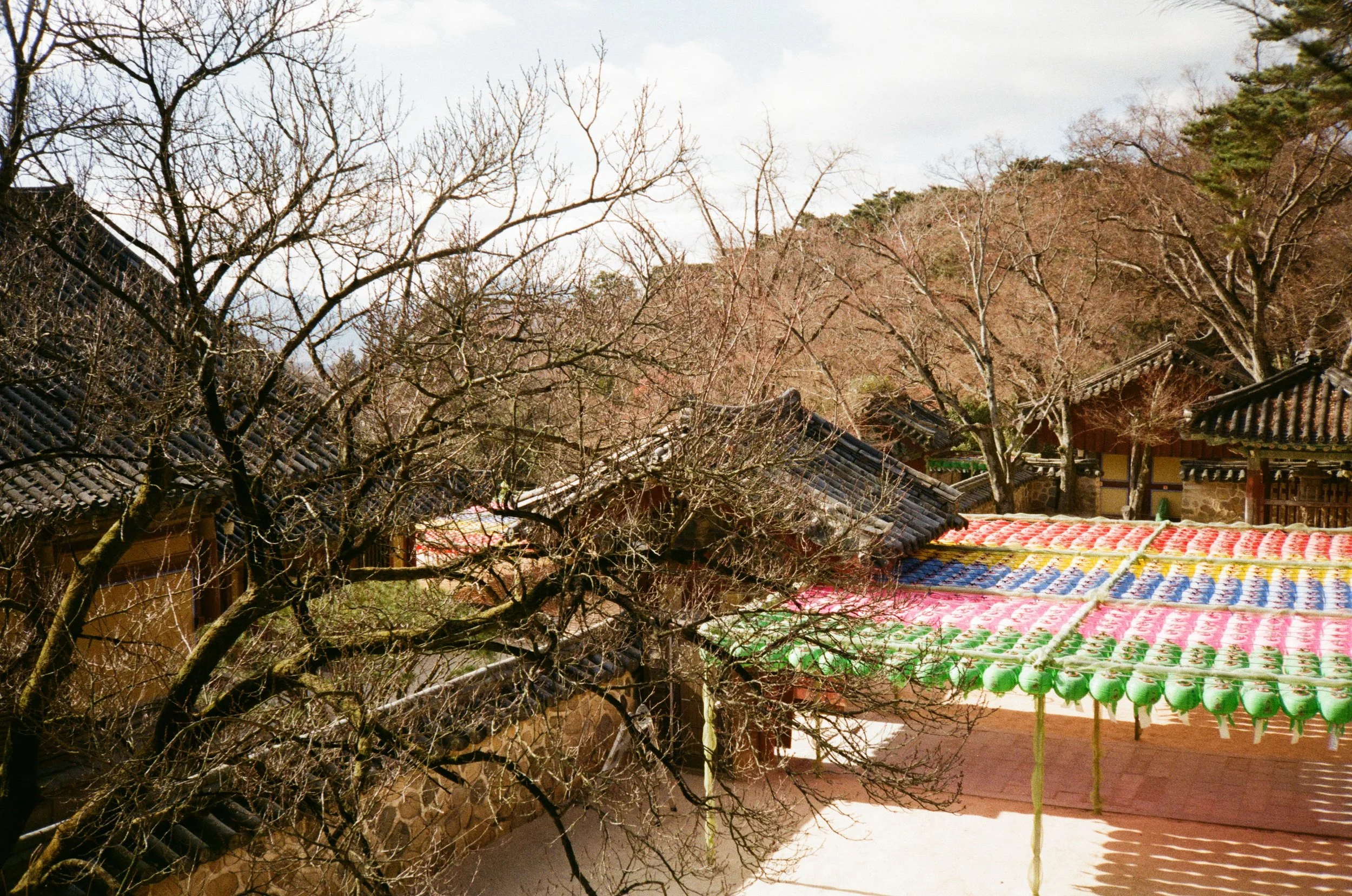 Prints Korea Winter 25-12.jpg
