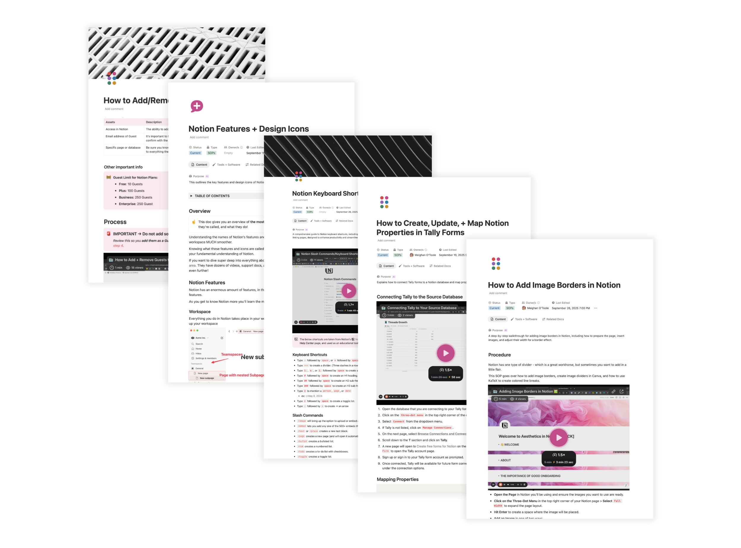 Shop Aesthetics in Notion (1).png