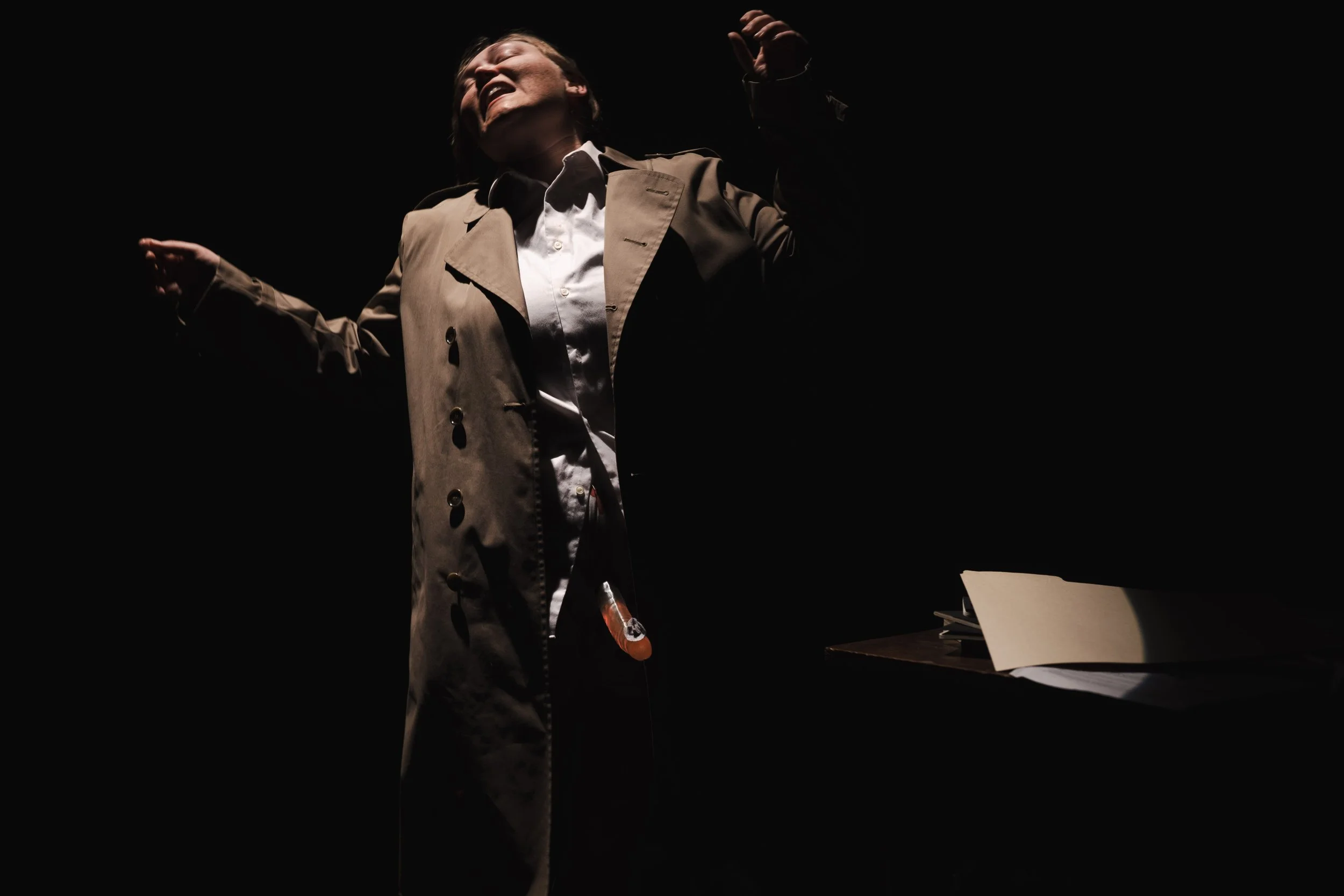 Private Dick: The Hardest Noir in Town