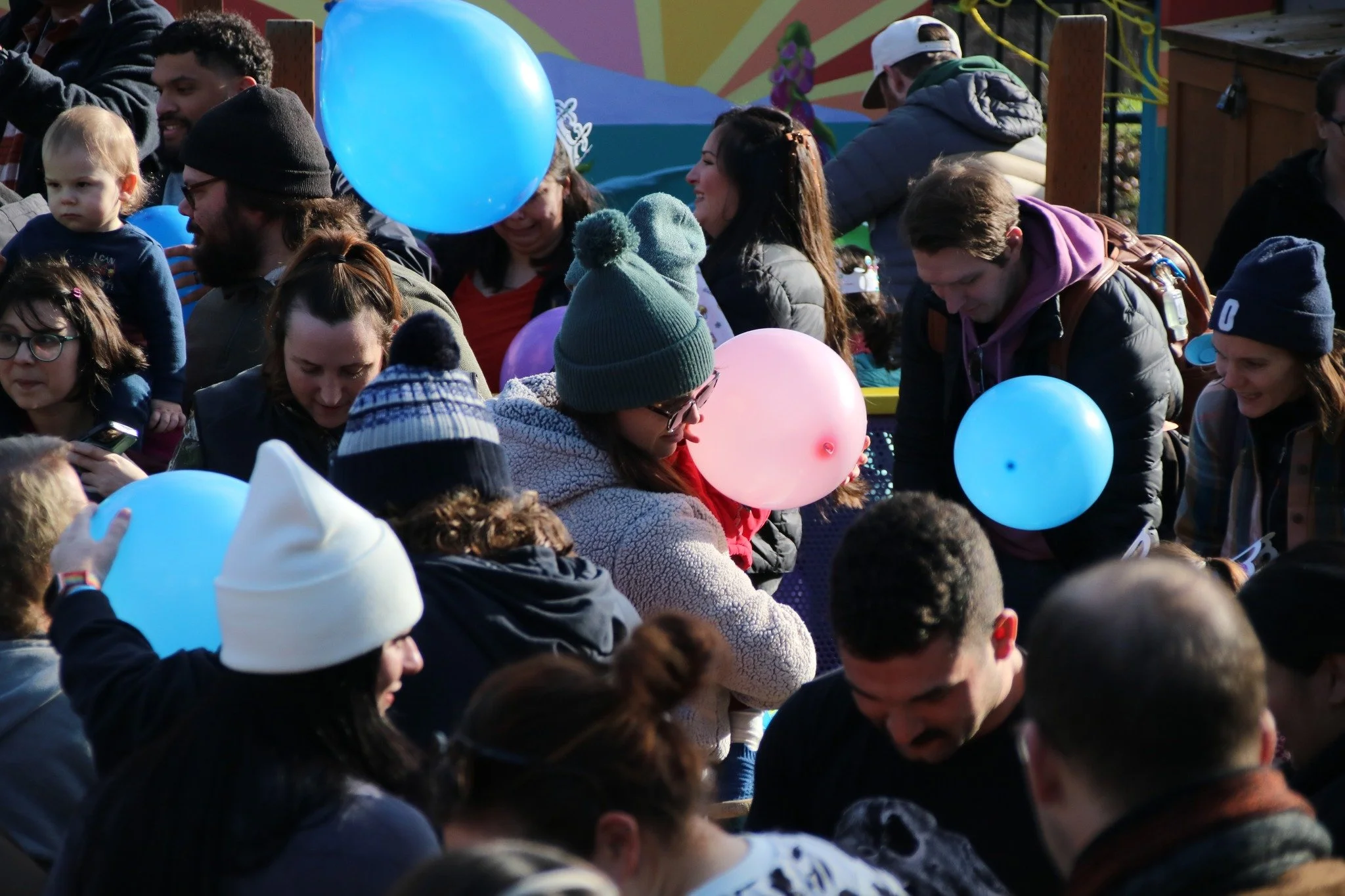 A crowd of people gathered outdoors, holding colorful balloons in pink and blue, during a festive event on a sunny day.