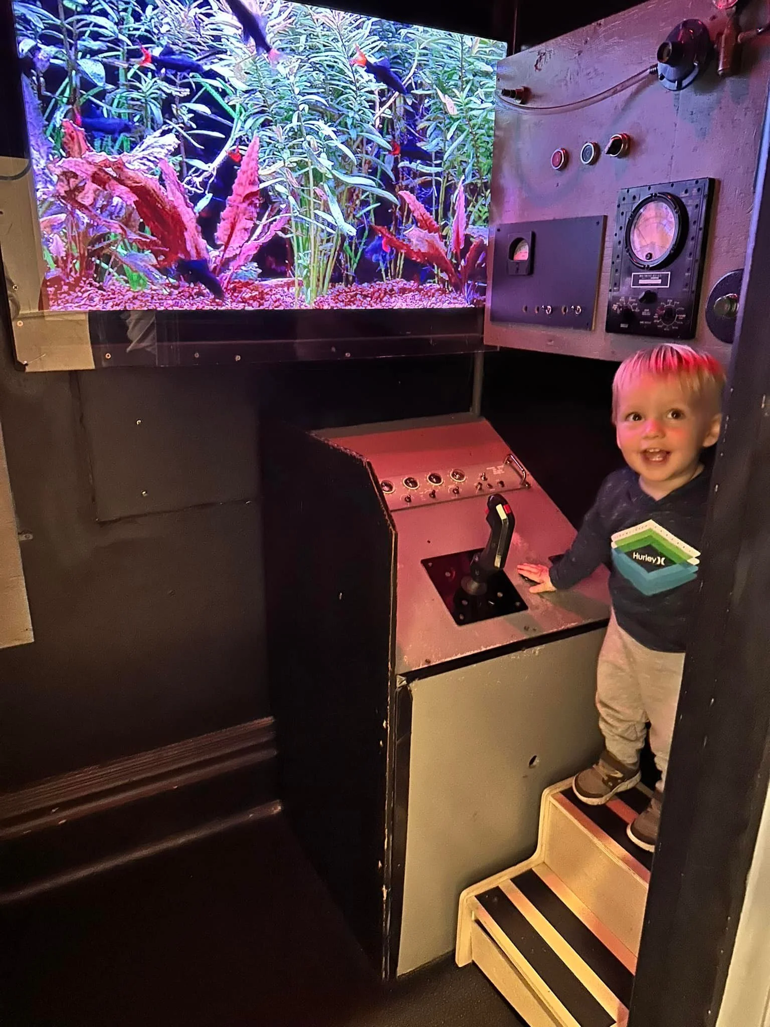 Young child standing on small stairs next to an arcade game console, looking at a large screen displaying a planted aquarium with fish and aquatic plants.