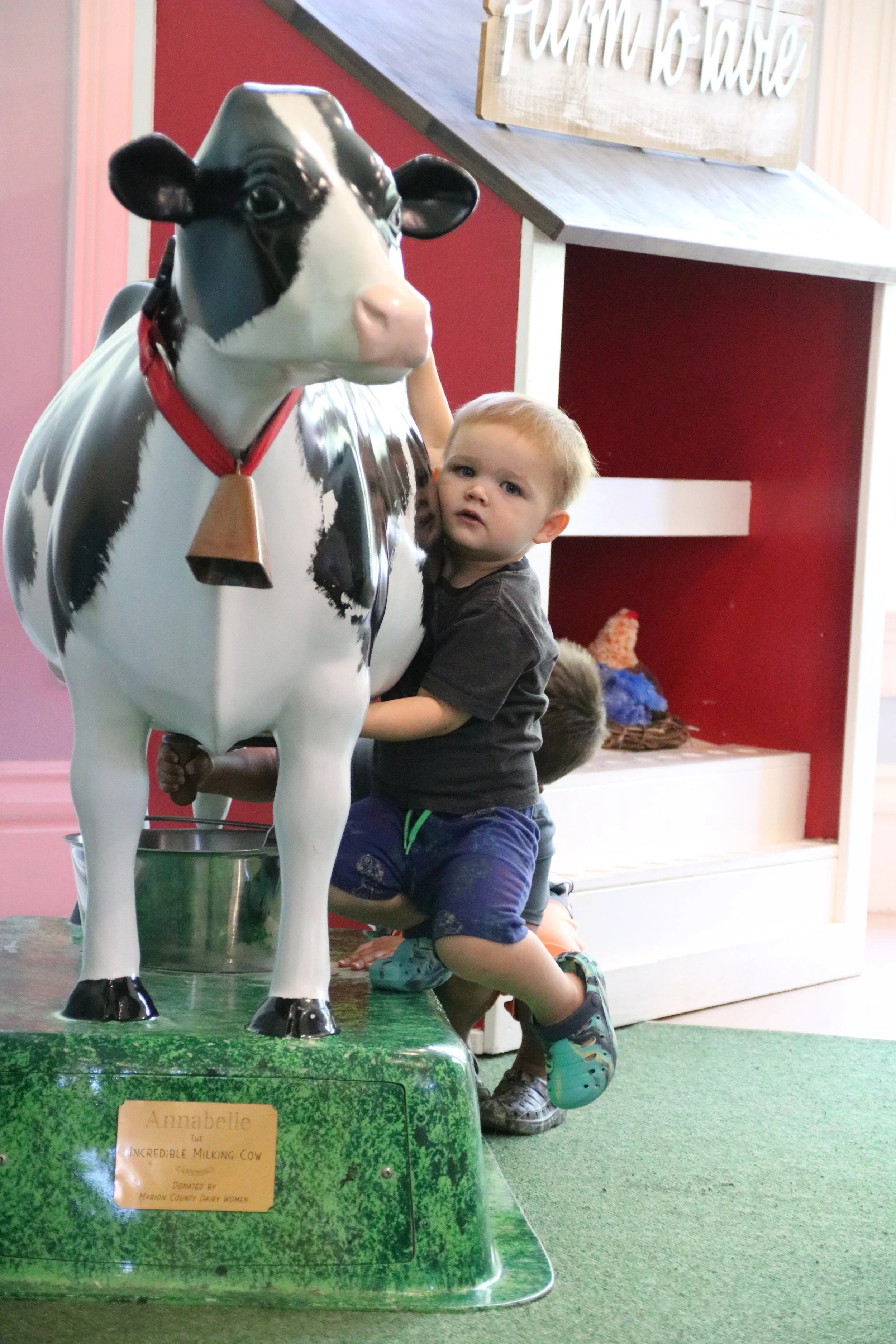 A young boy hugging a large black and white cow statue at a farm or dairy exhibit.
