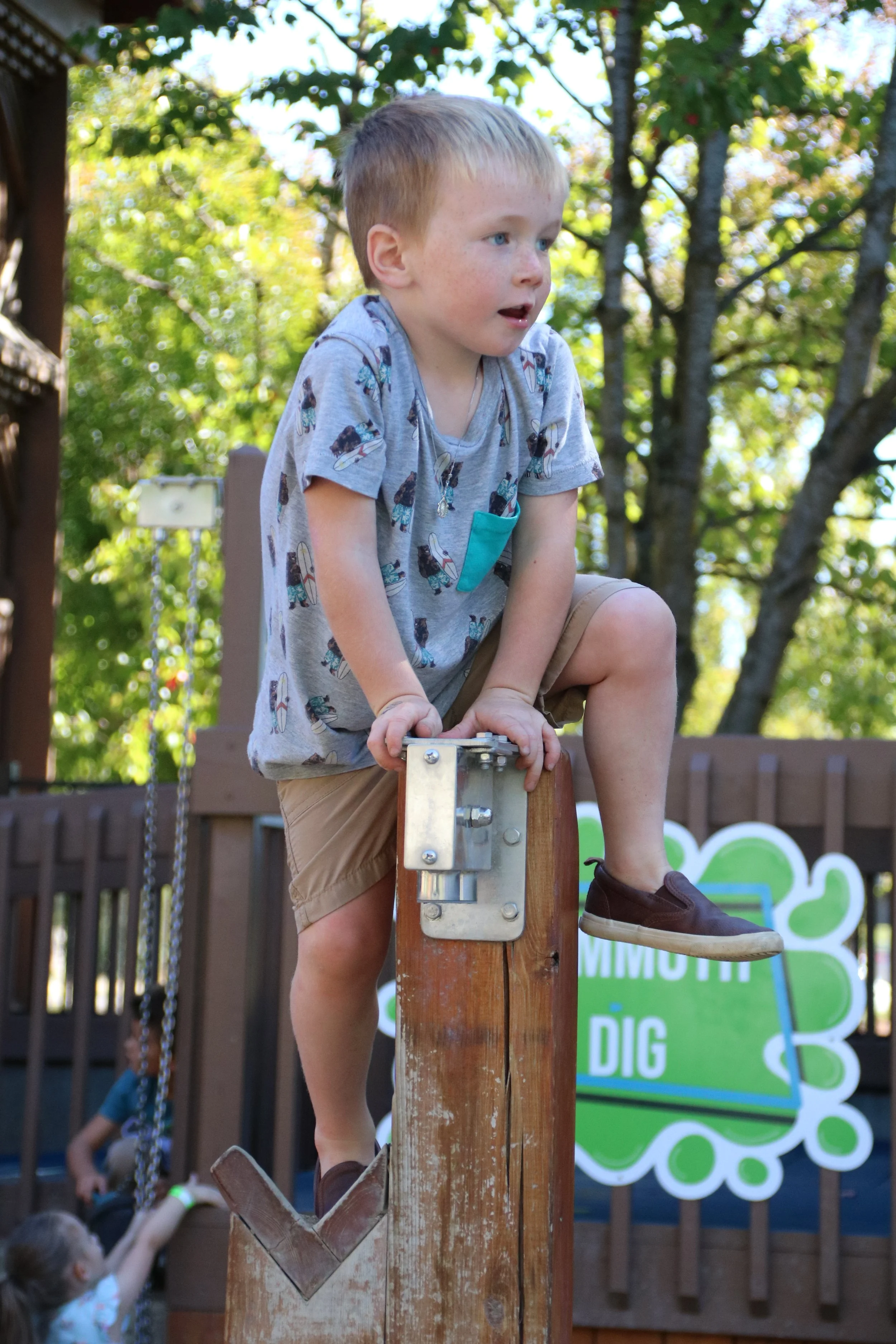 A young boy with blonde hair wearing a gray T-shirt with bird prints and khaki shorts, climbing on a wooden structure at a playground in a park with green trees in the background.
