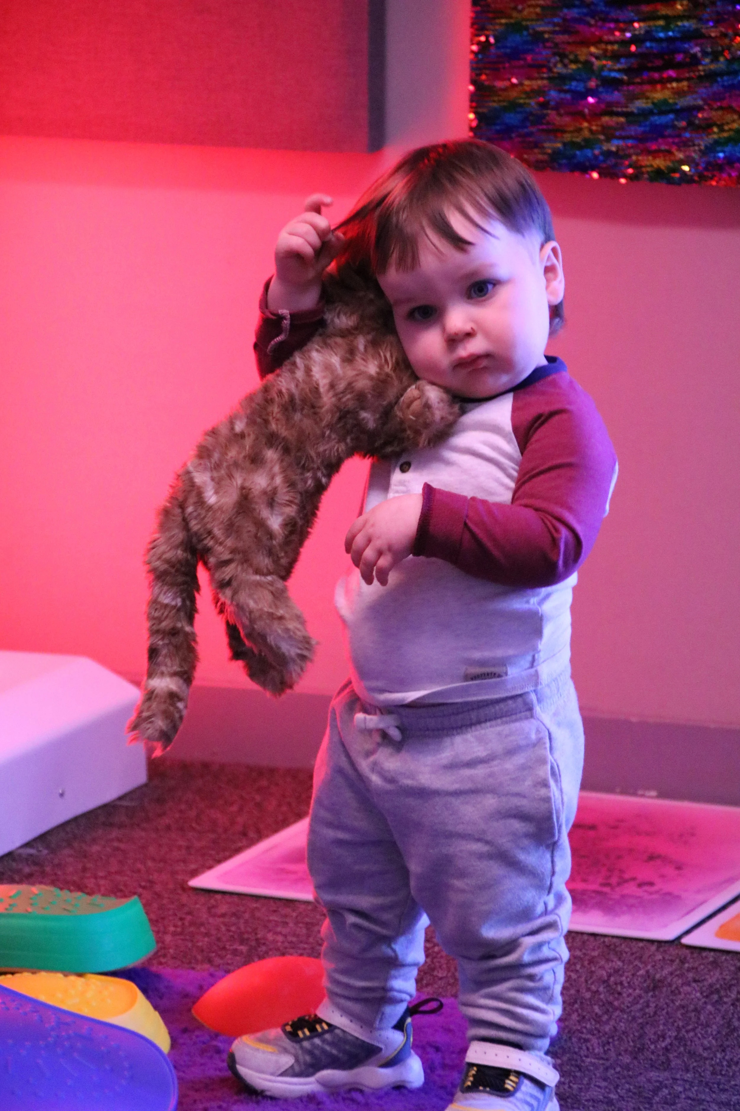 A young boy holding a small, fuzzy brown kitten in a room with pink and red lighting.