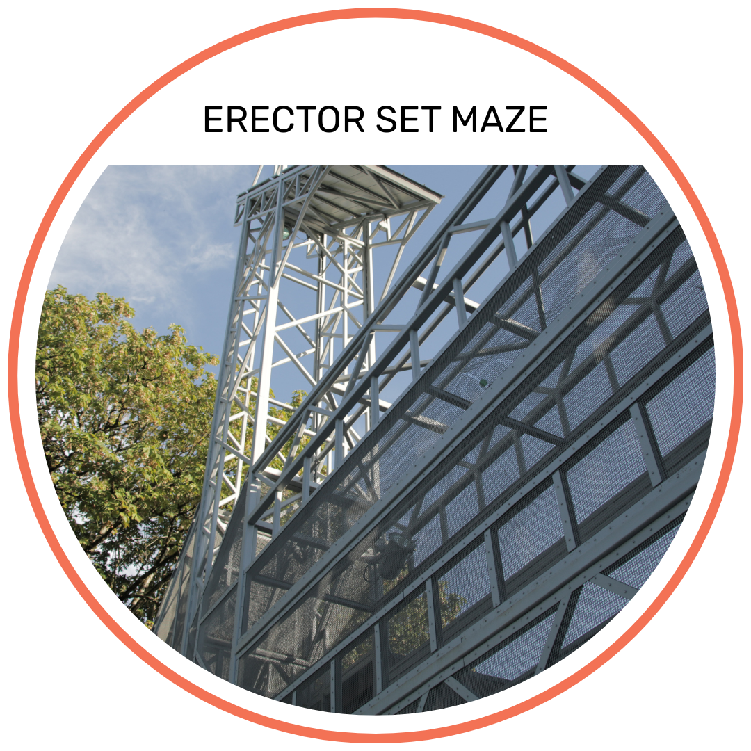 Metal erector set maze structure with trees and sky in the background.